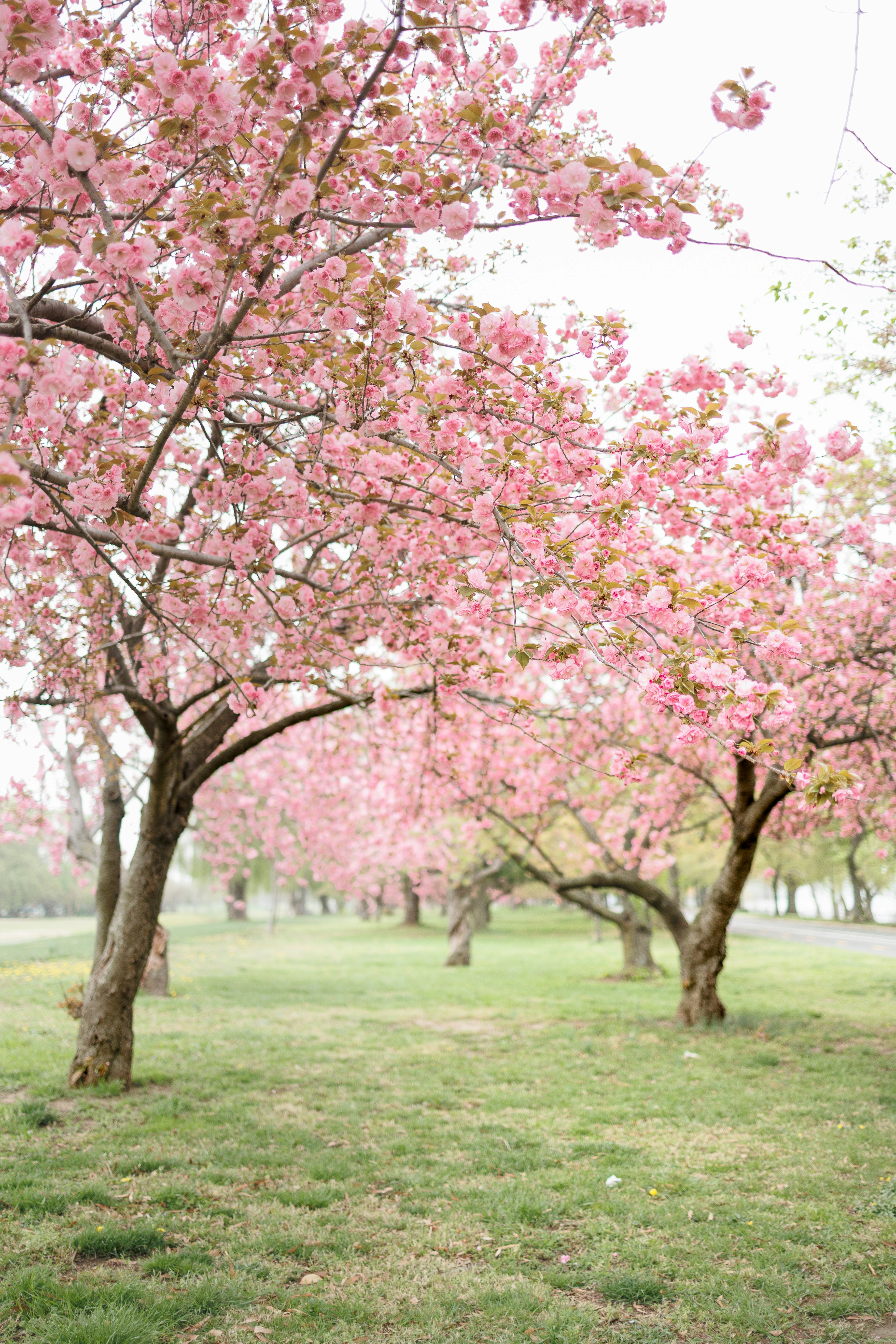 Photo by stills_byliz