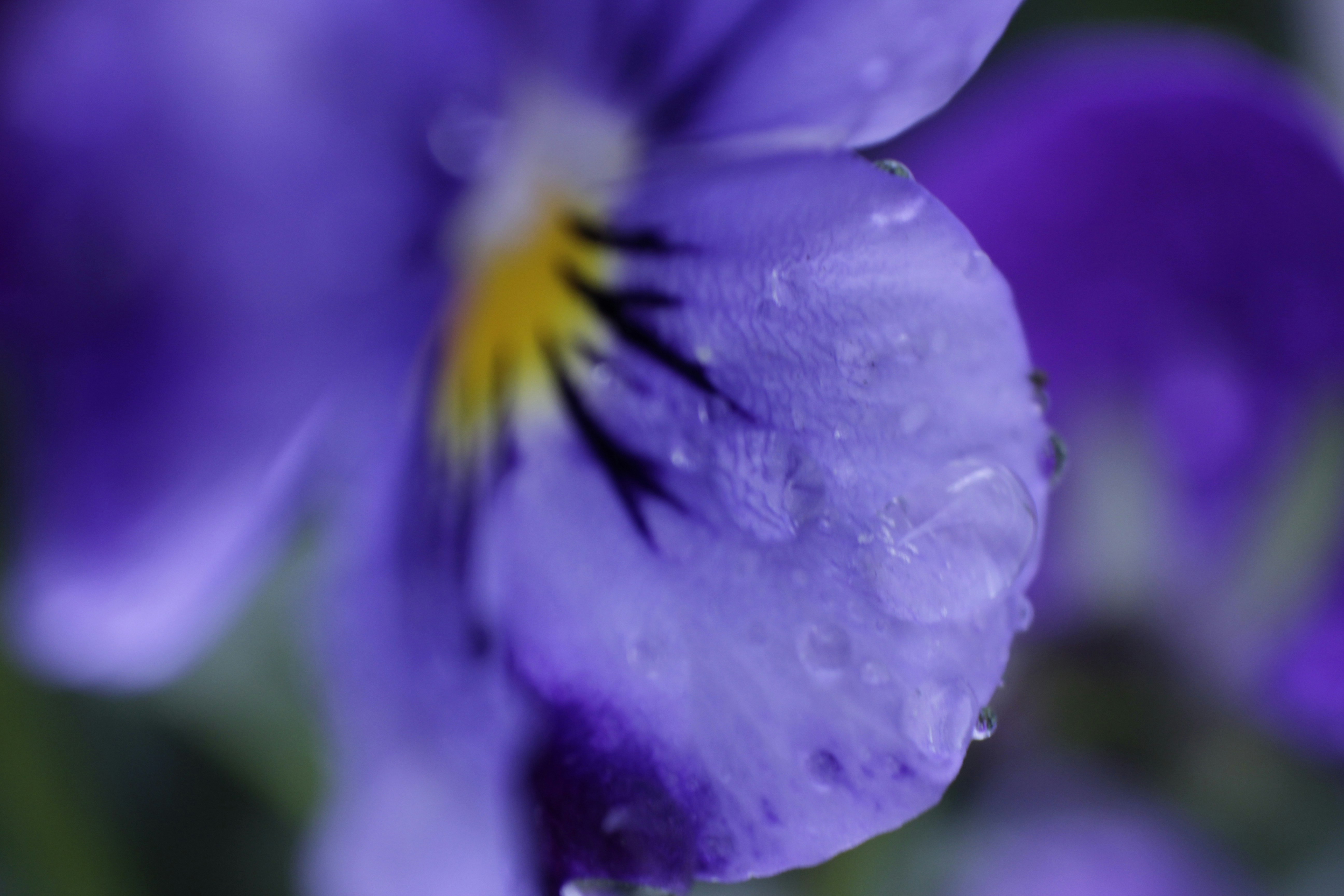 Photo by nathaniel2010