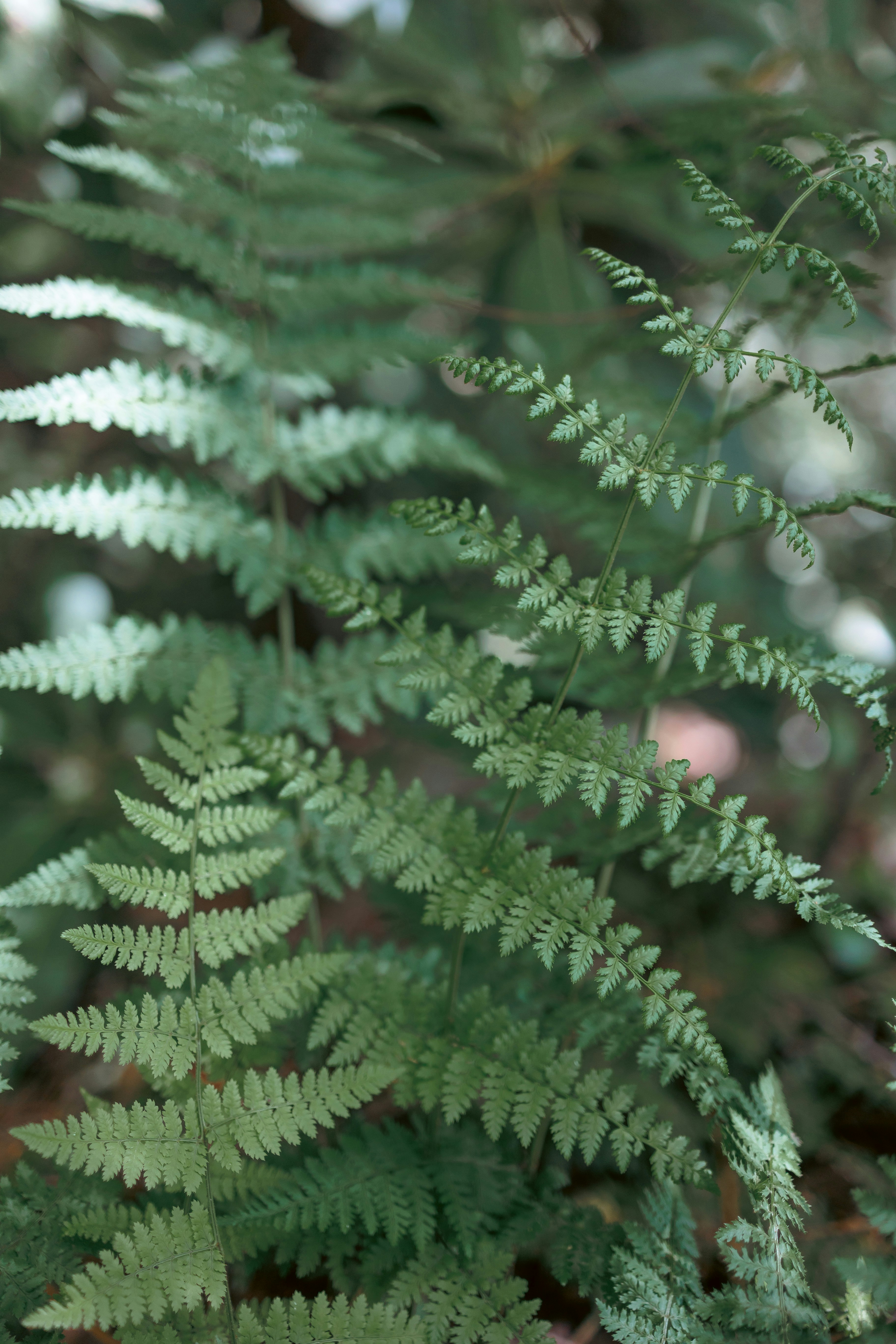 Photo by stills_byliz