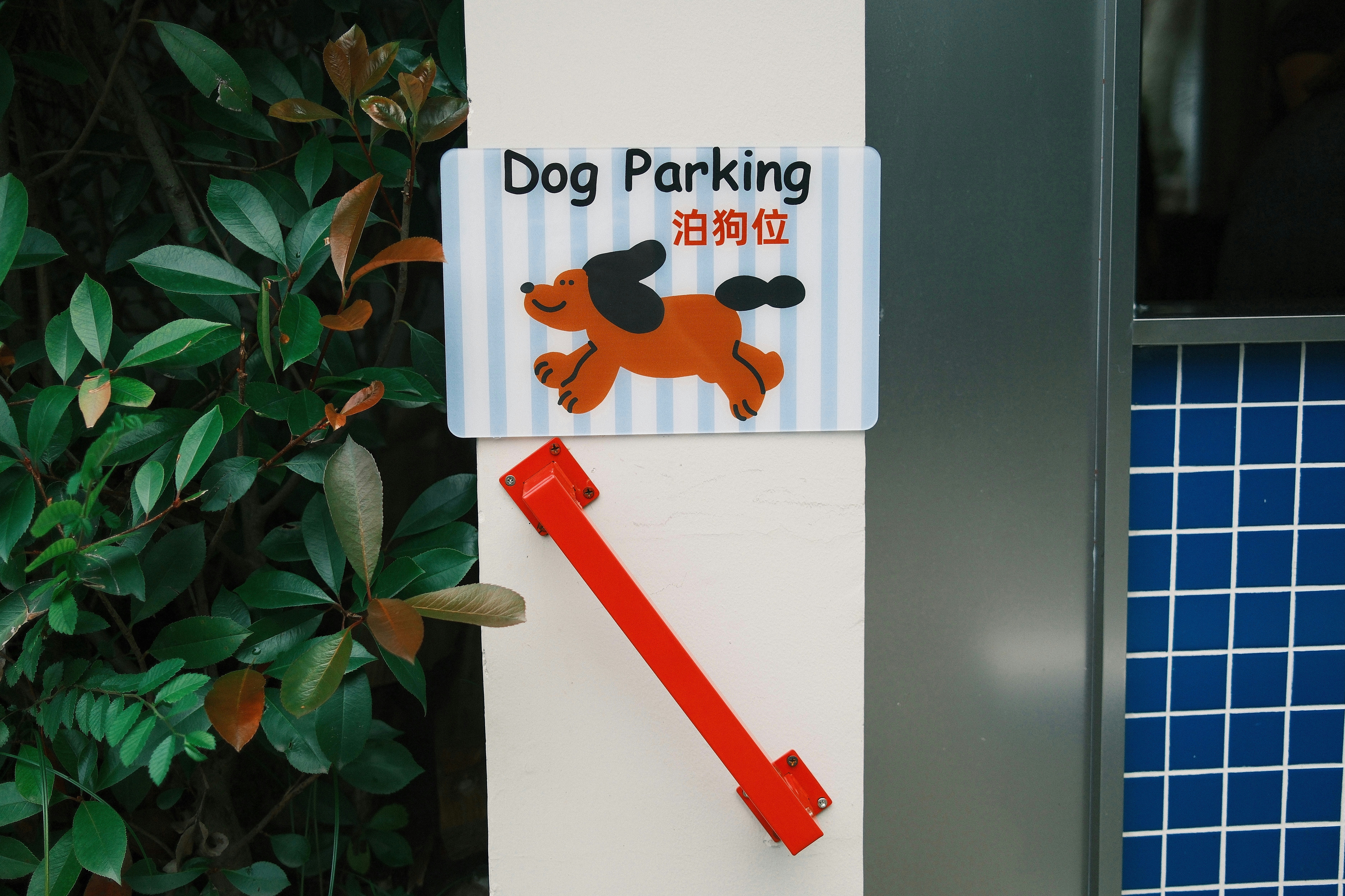 Pets Welcome sign on an apartment building door - apartments for large dogs