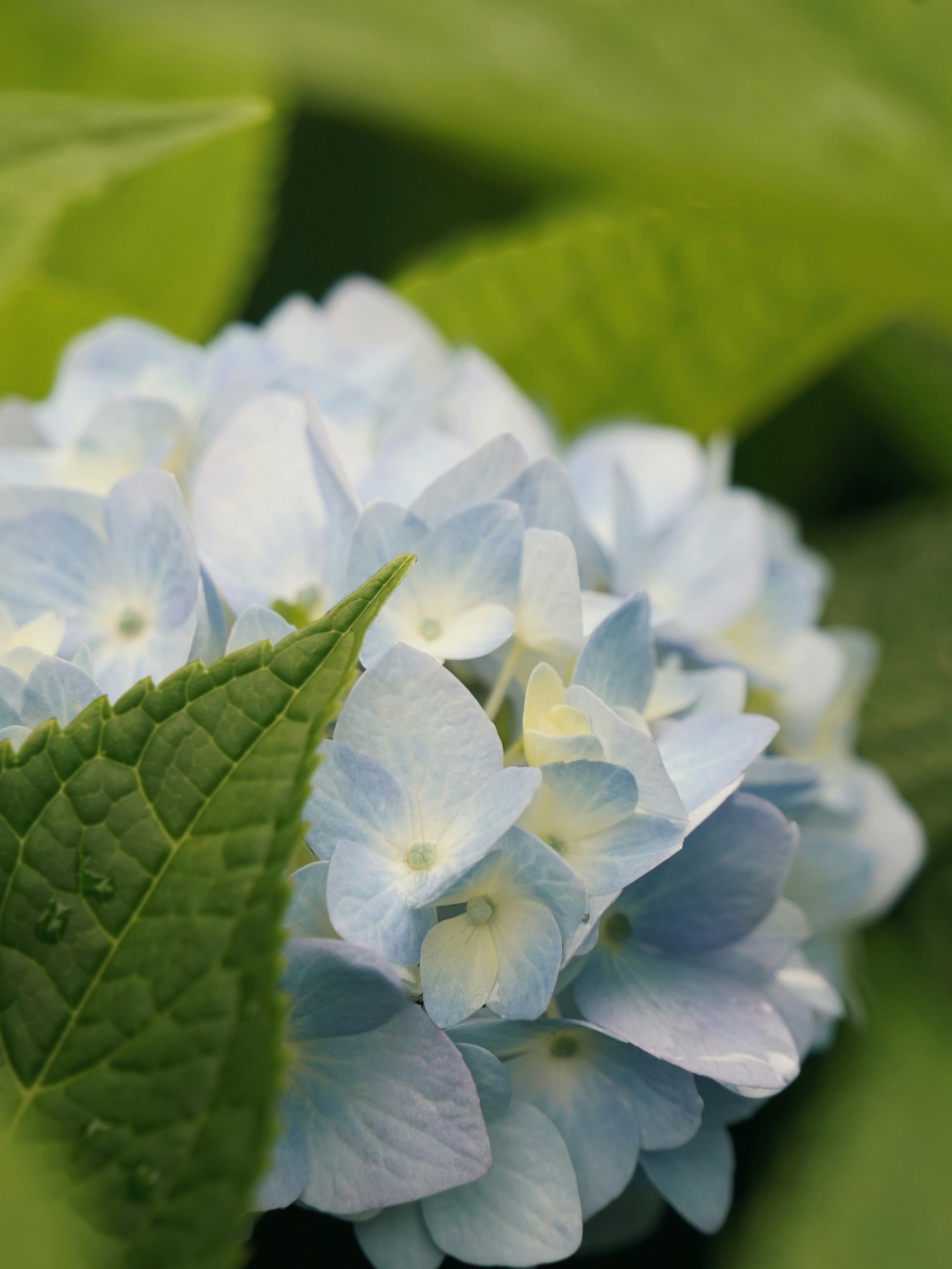 Photo by yunwuwanzi