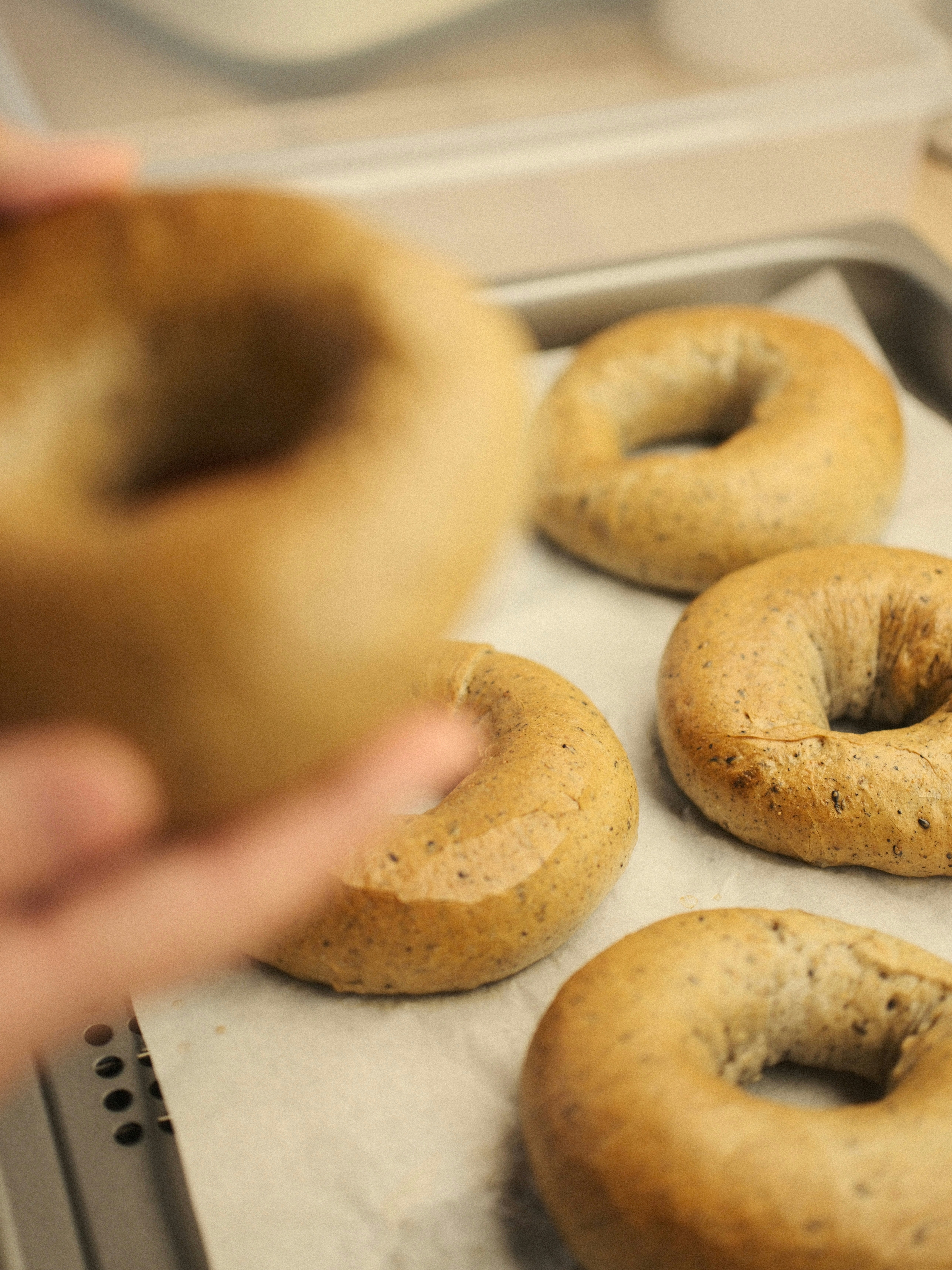 Freshly baked bagels are arranged on parchment paper.