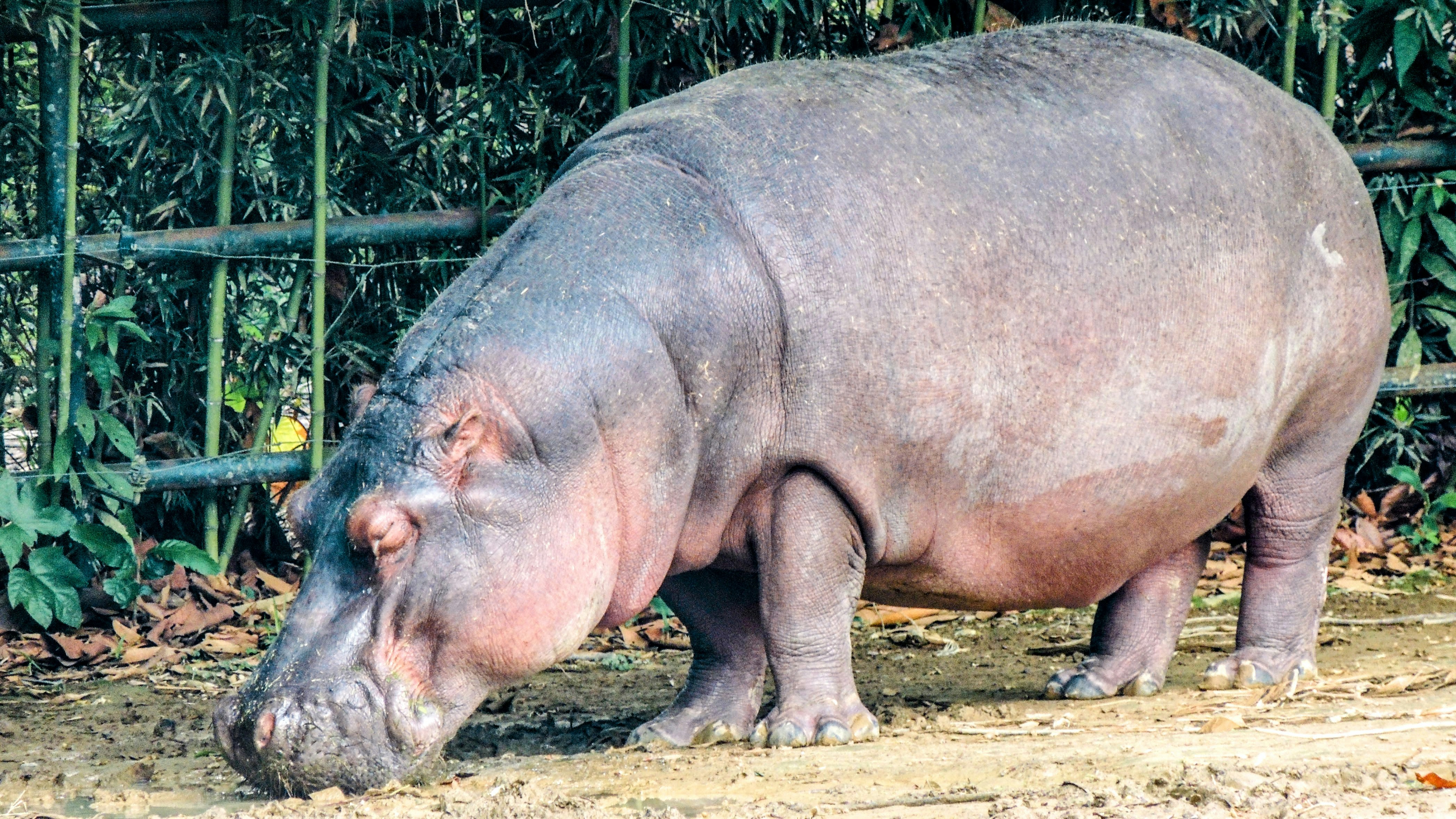 Photo by citywildlens