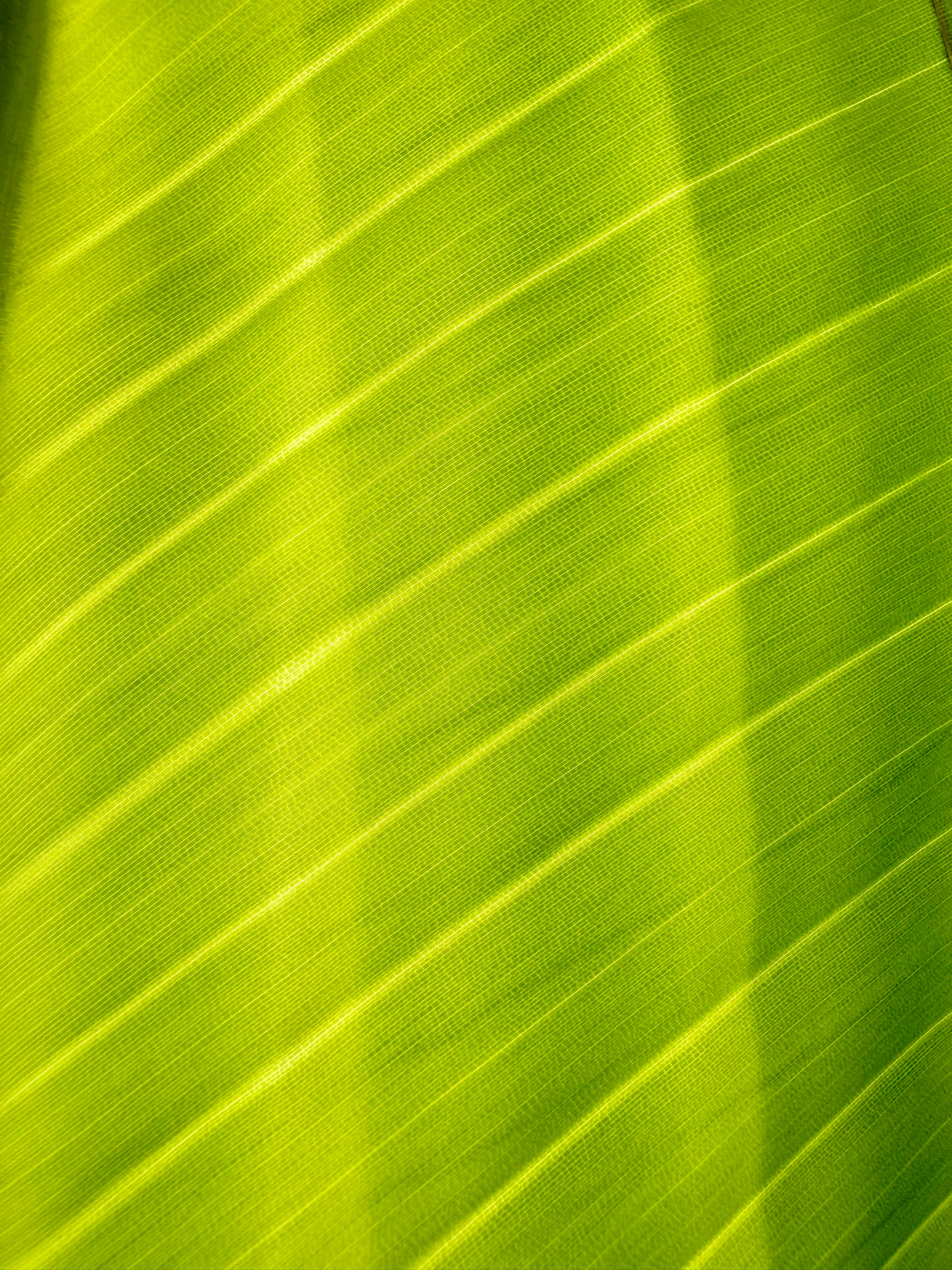 Photo by georgethachil