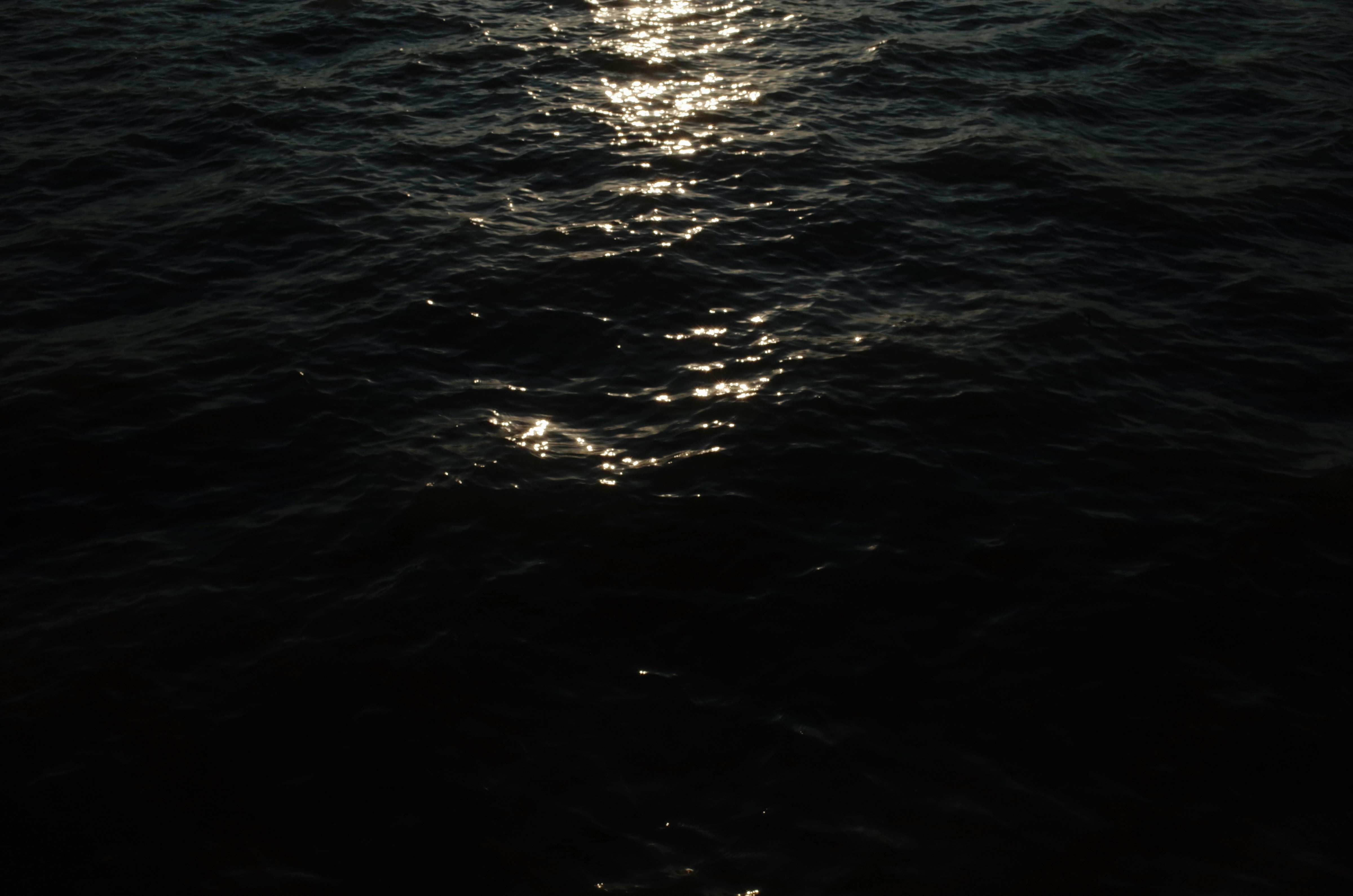 Photo by lindeng0097