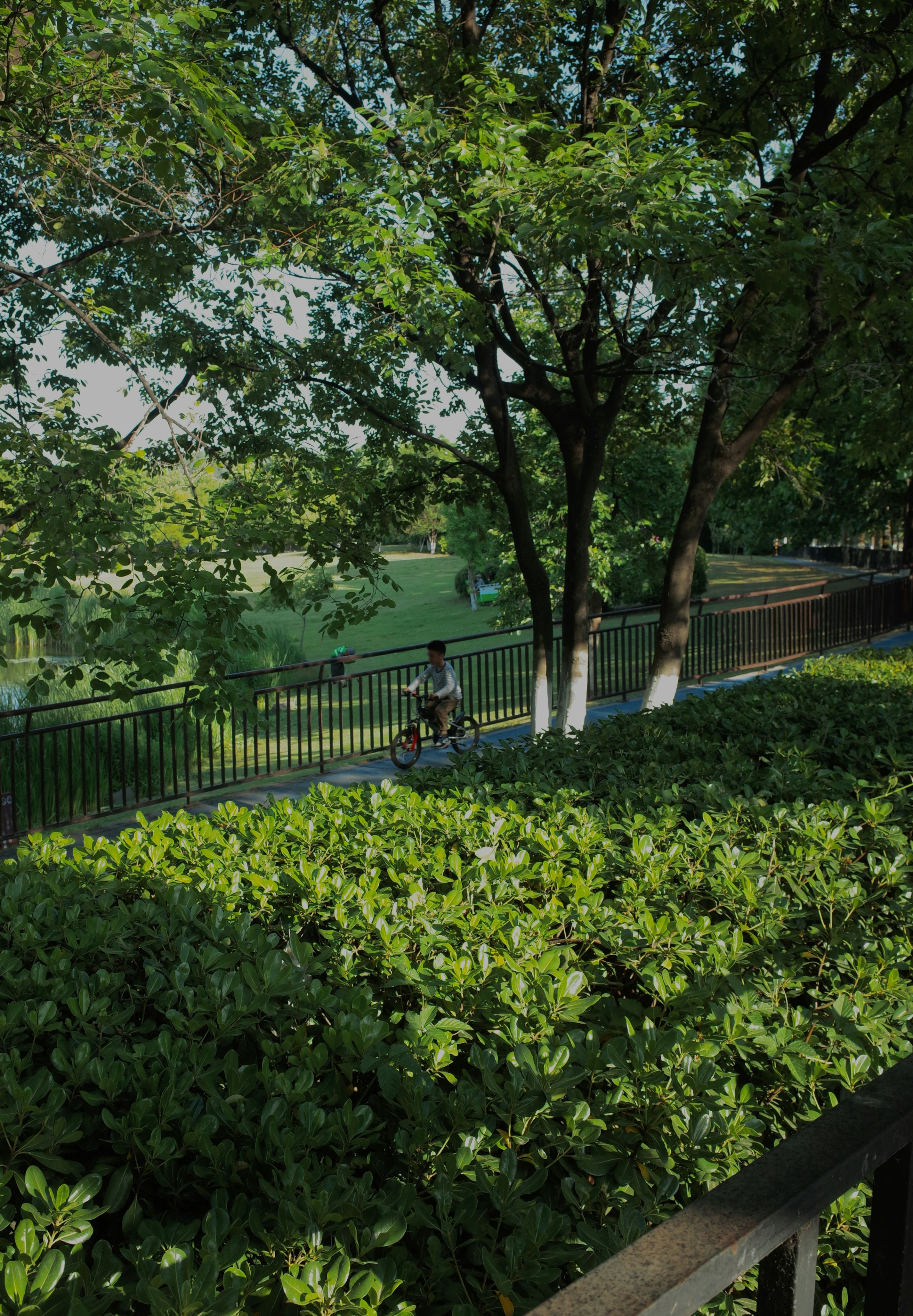 Photo by lindeng0097