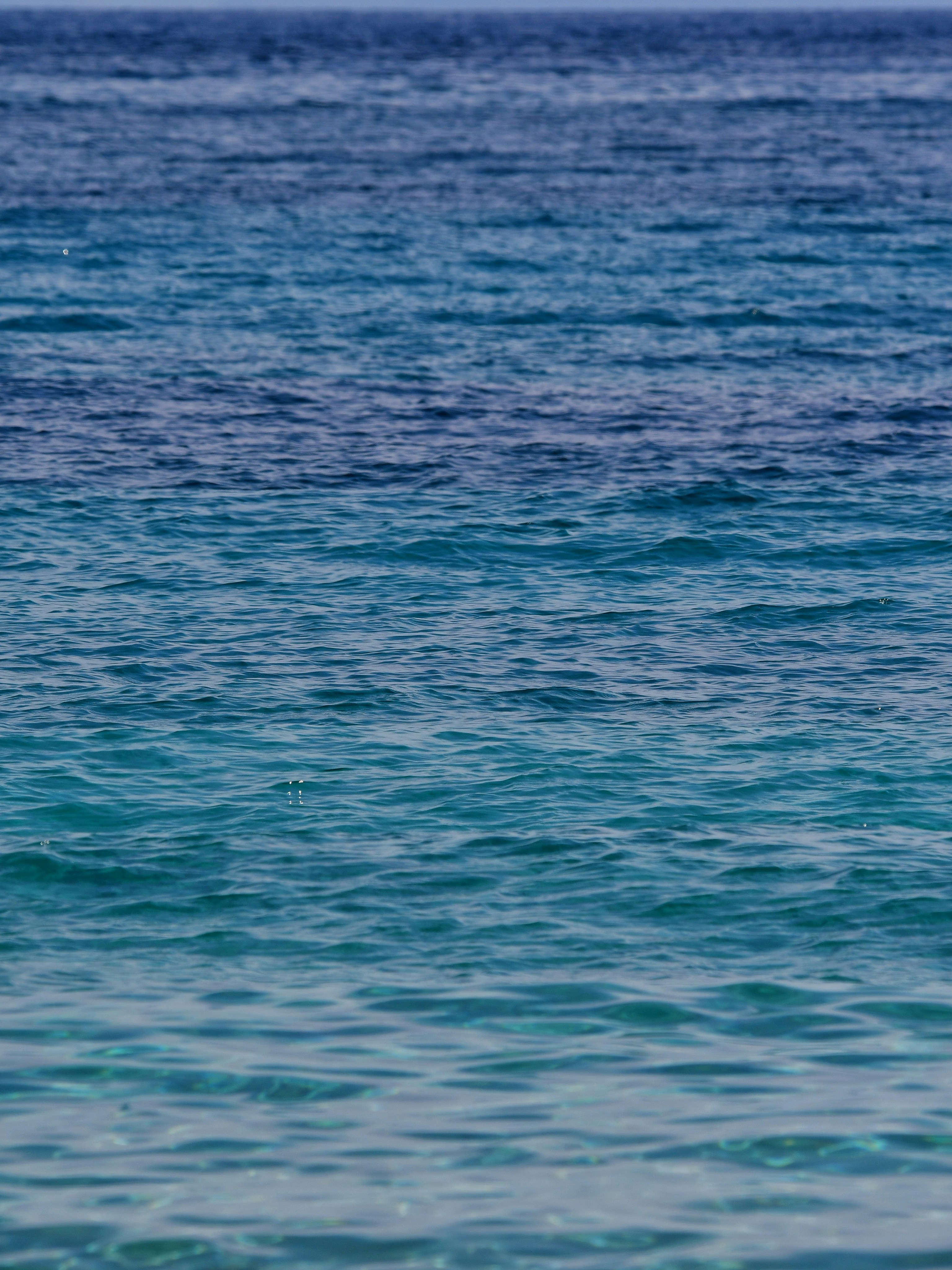 Photo by pedrino5_official