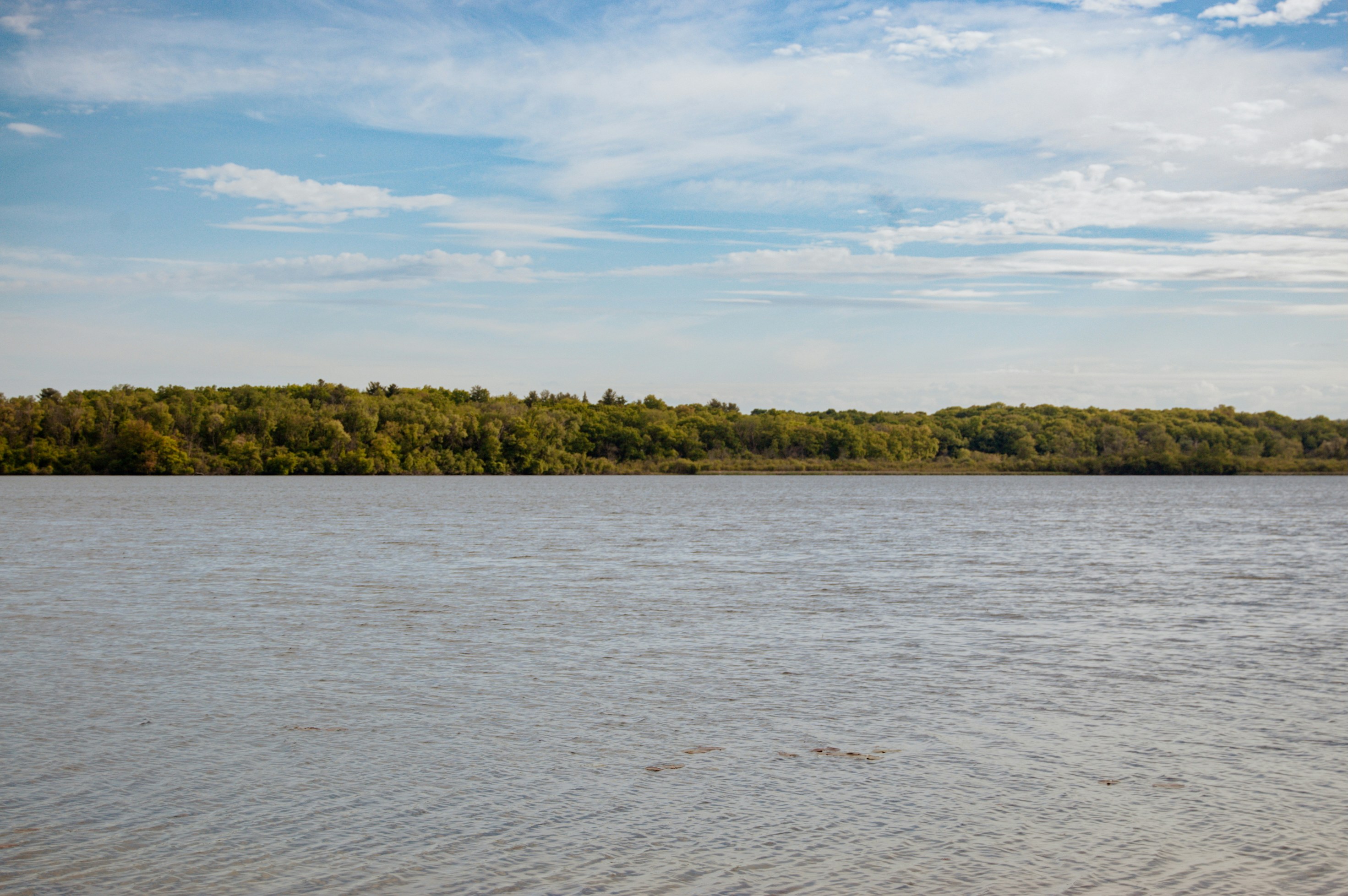 Photo by aidanlynchphotography