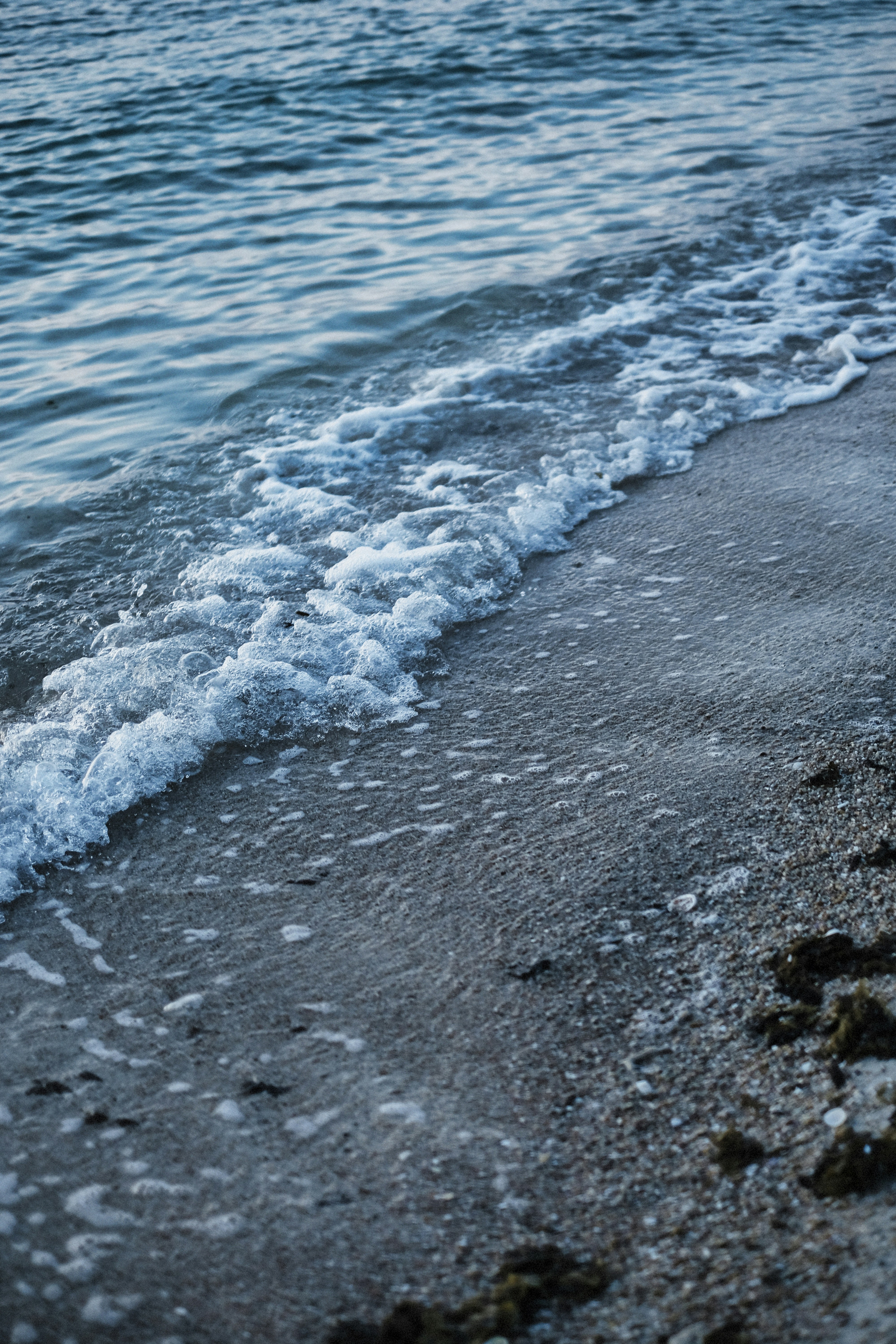 Photo by alexeydemidov