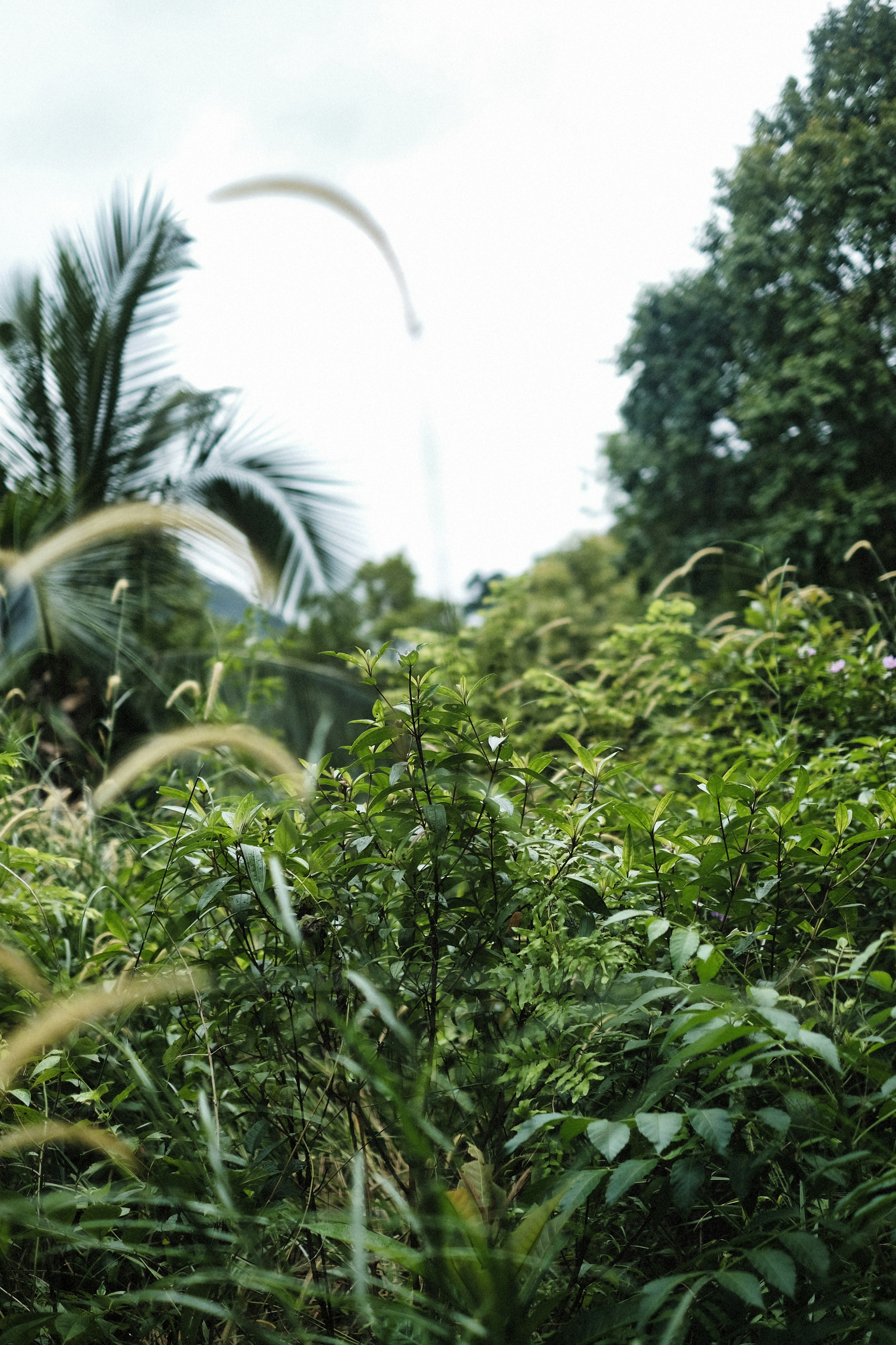 Photo by alexeydemidov