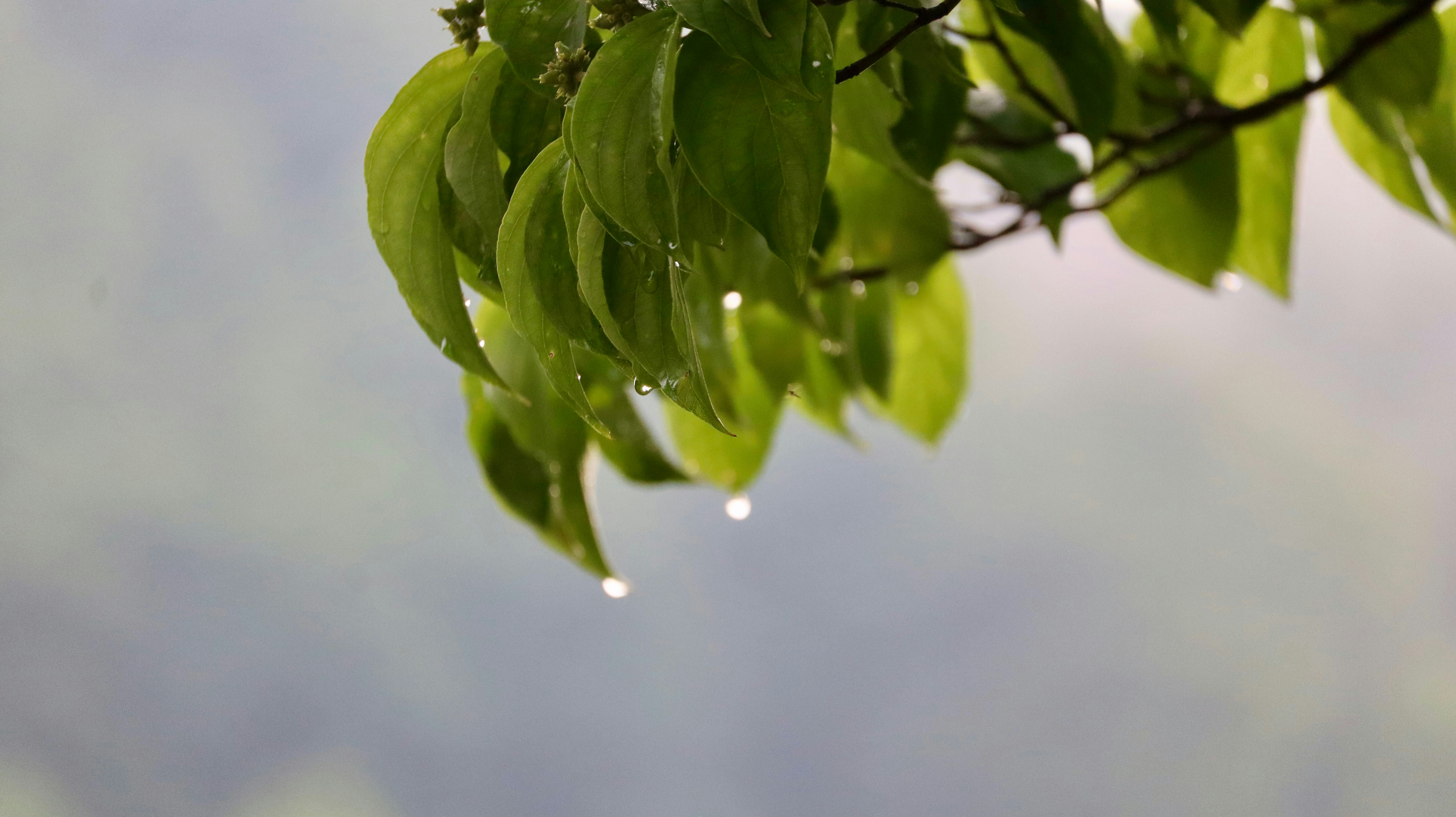 Photo by nurseangie91