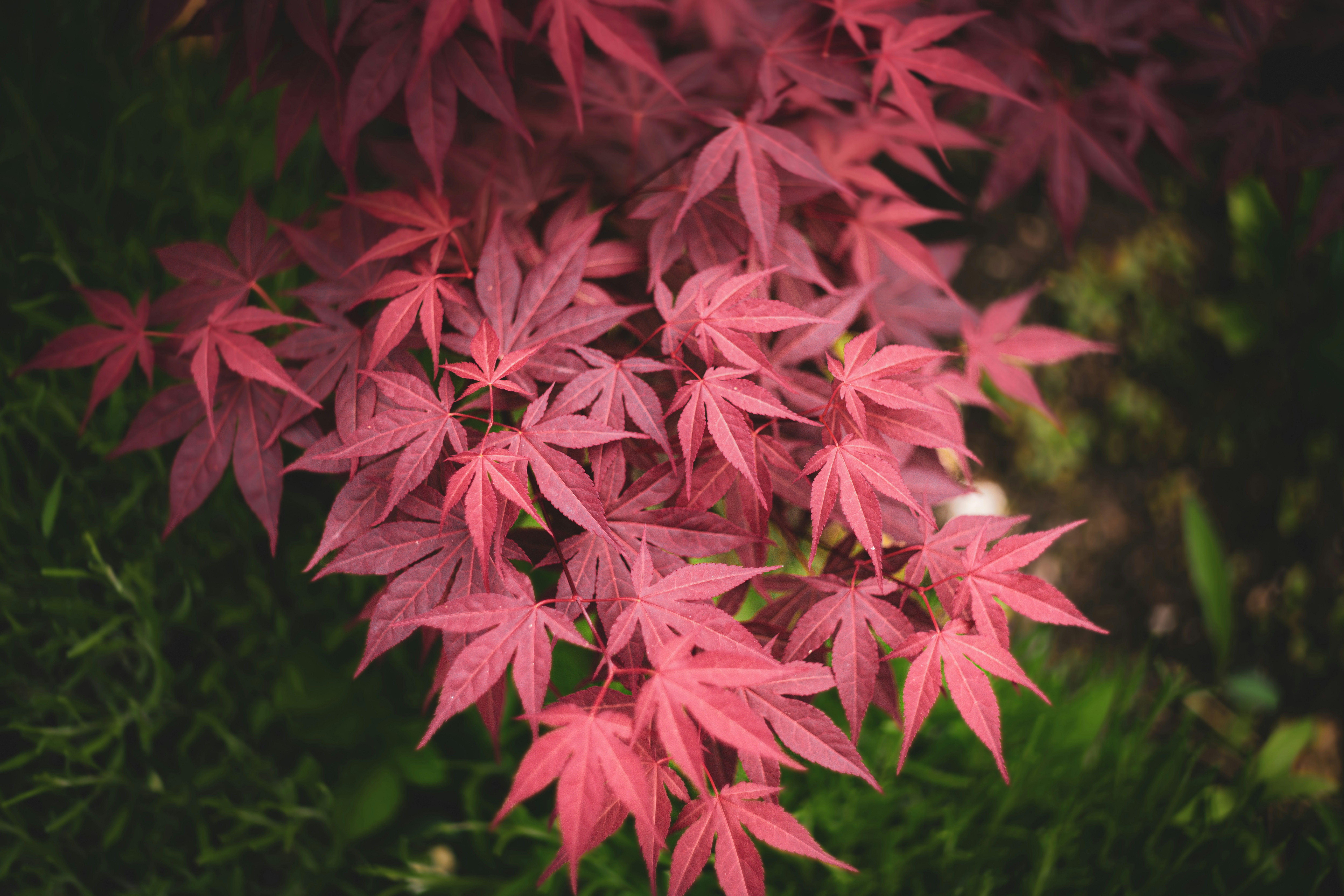 Photo by true_zuzu