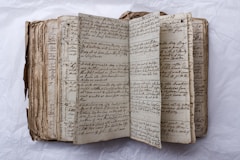 An old, handwritten book is open to view.