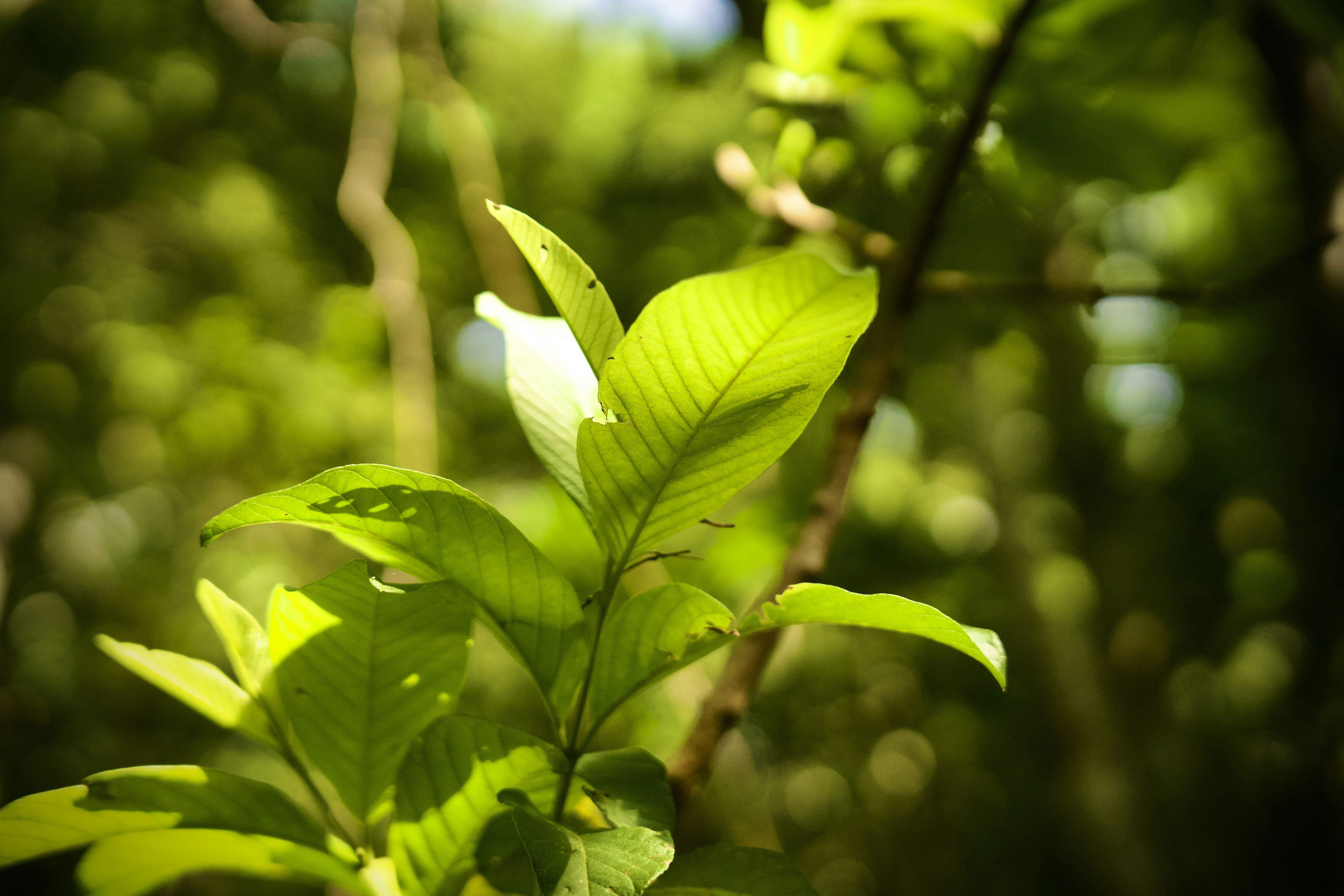 Photo by spenz_official