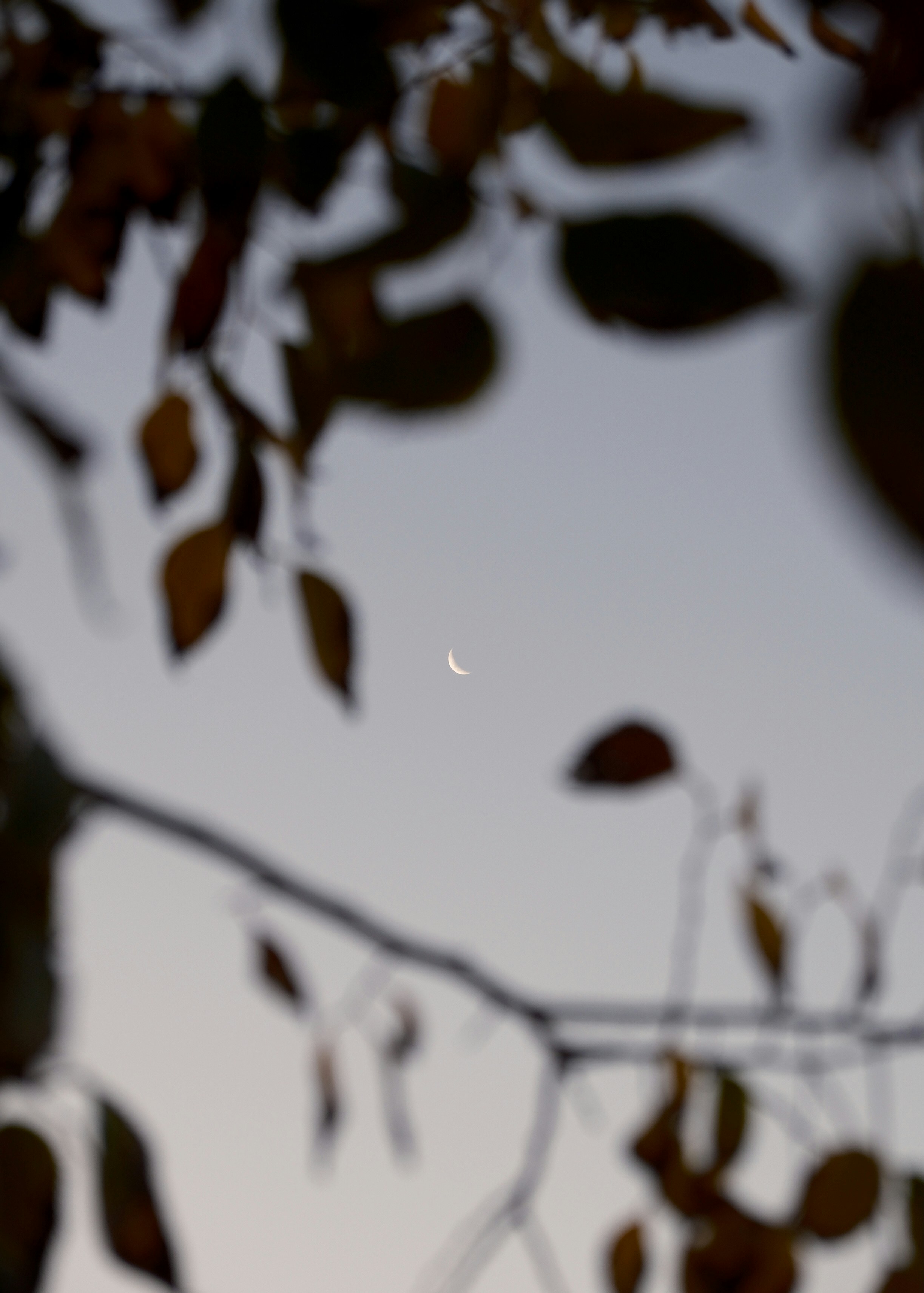 Photo by blnkr