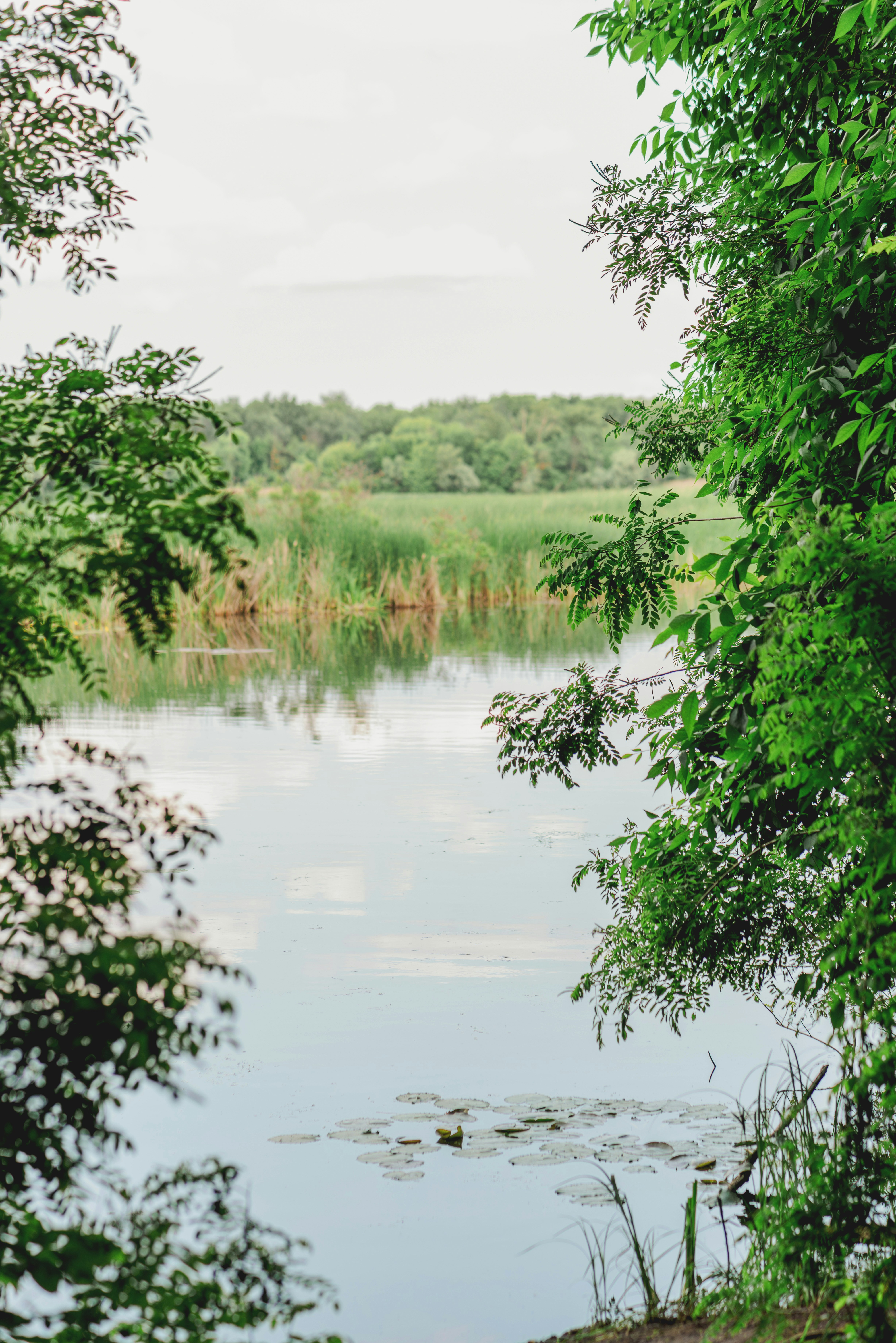 Photo by eugenivy_now