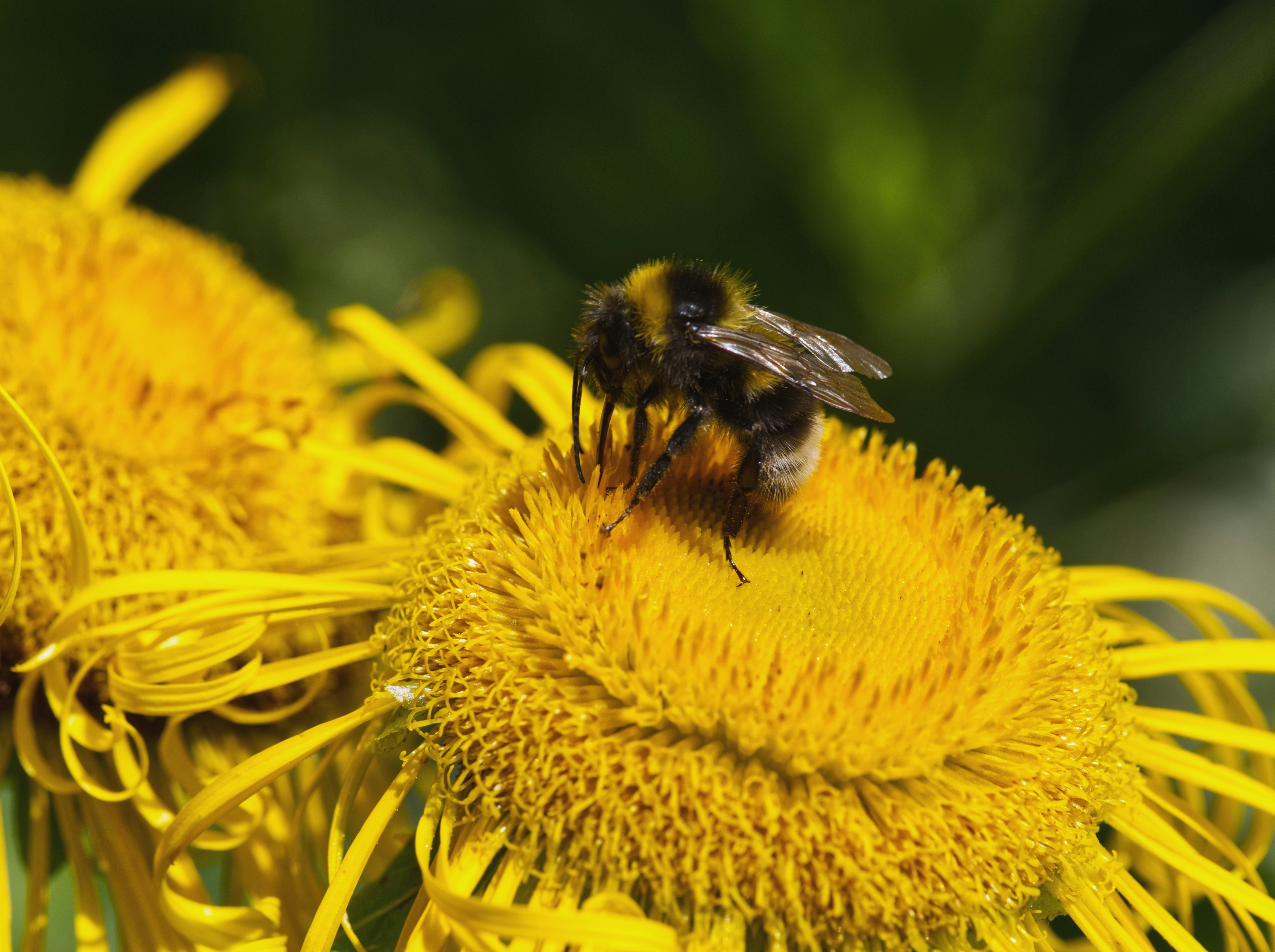 Photo by theskytales