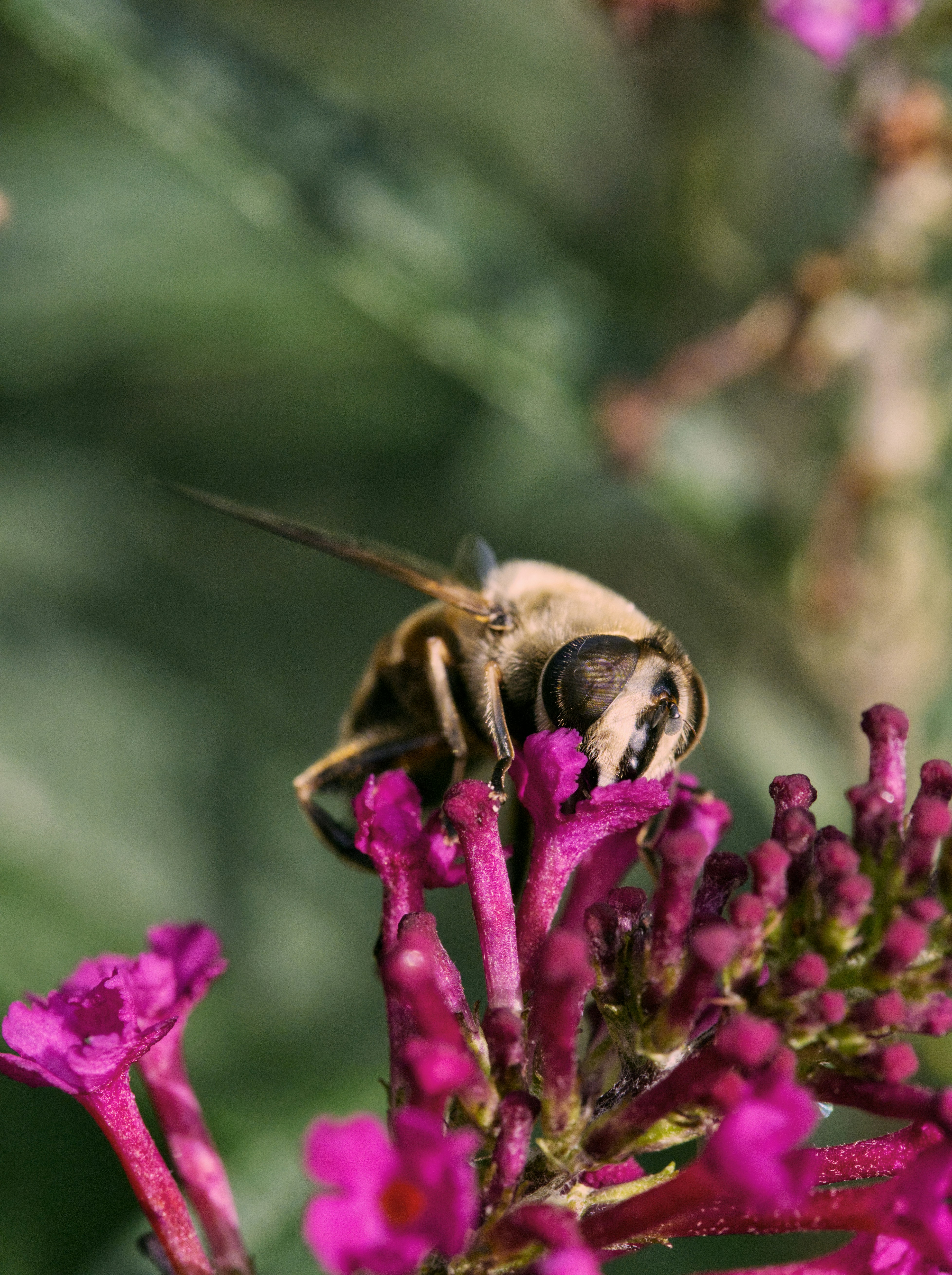 Photo by theskytales