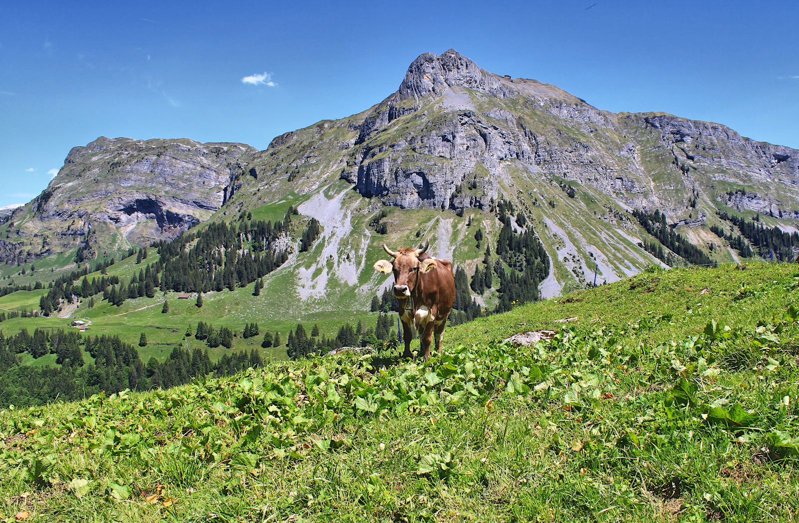 Six Senses Crans-Montana: Alpine Wellness in the Swiss Valais