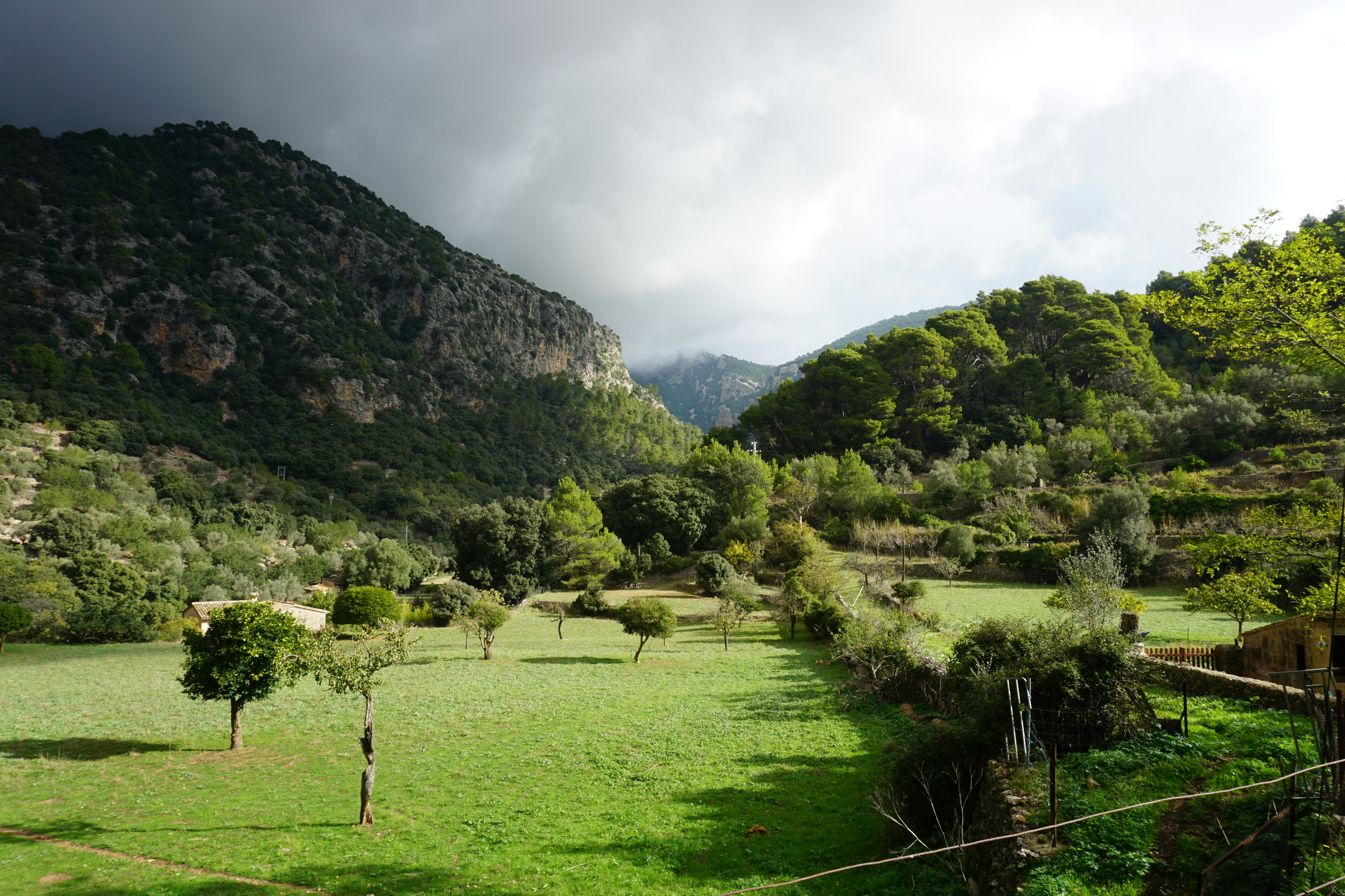 Image by Frank Hoeft via Unsplash