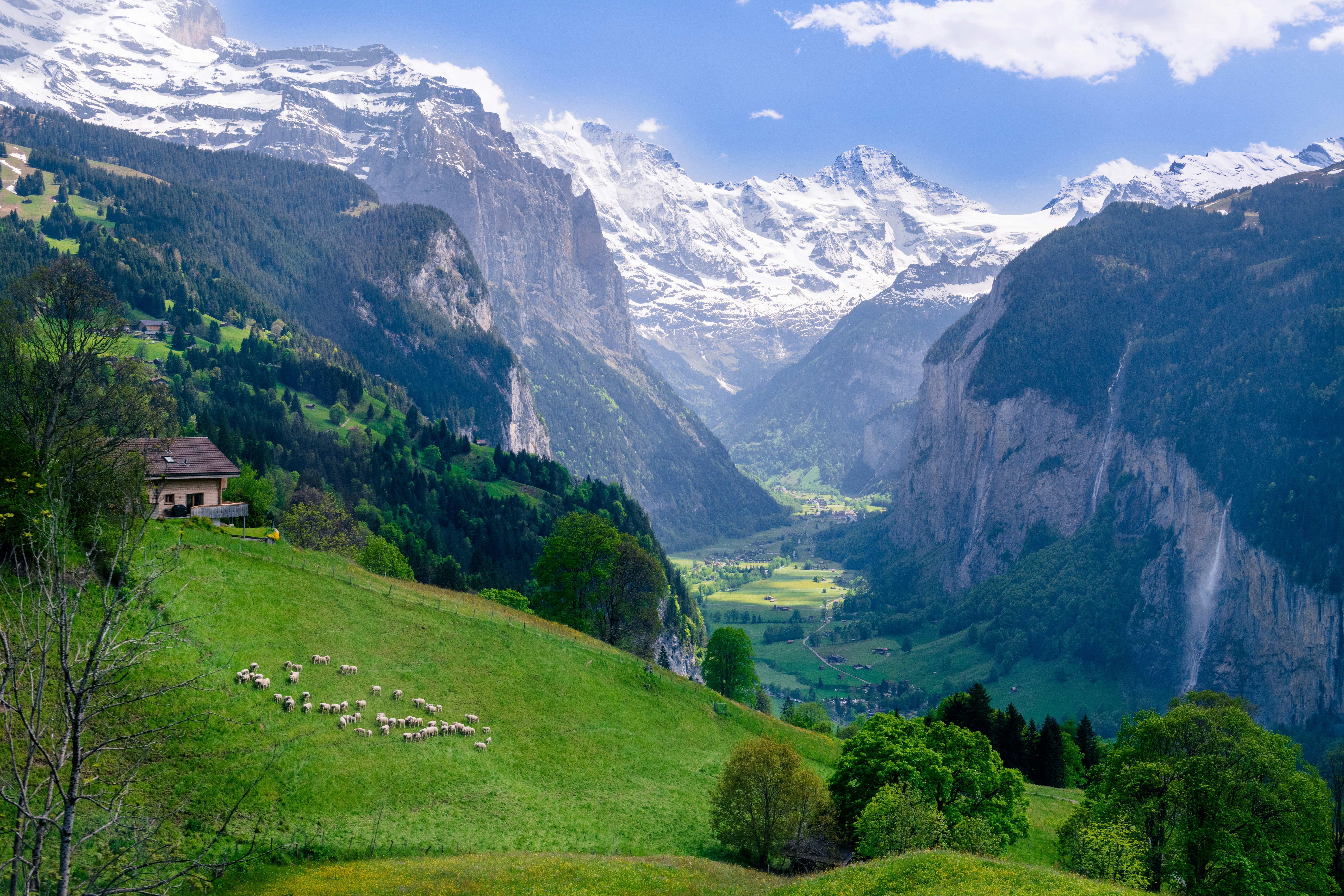 Photo by sriniunsplash