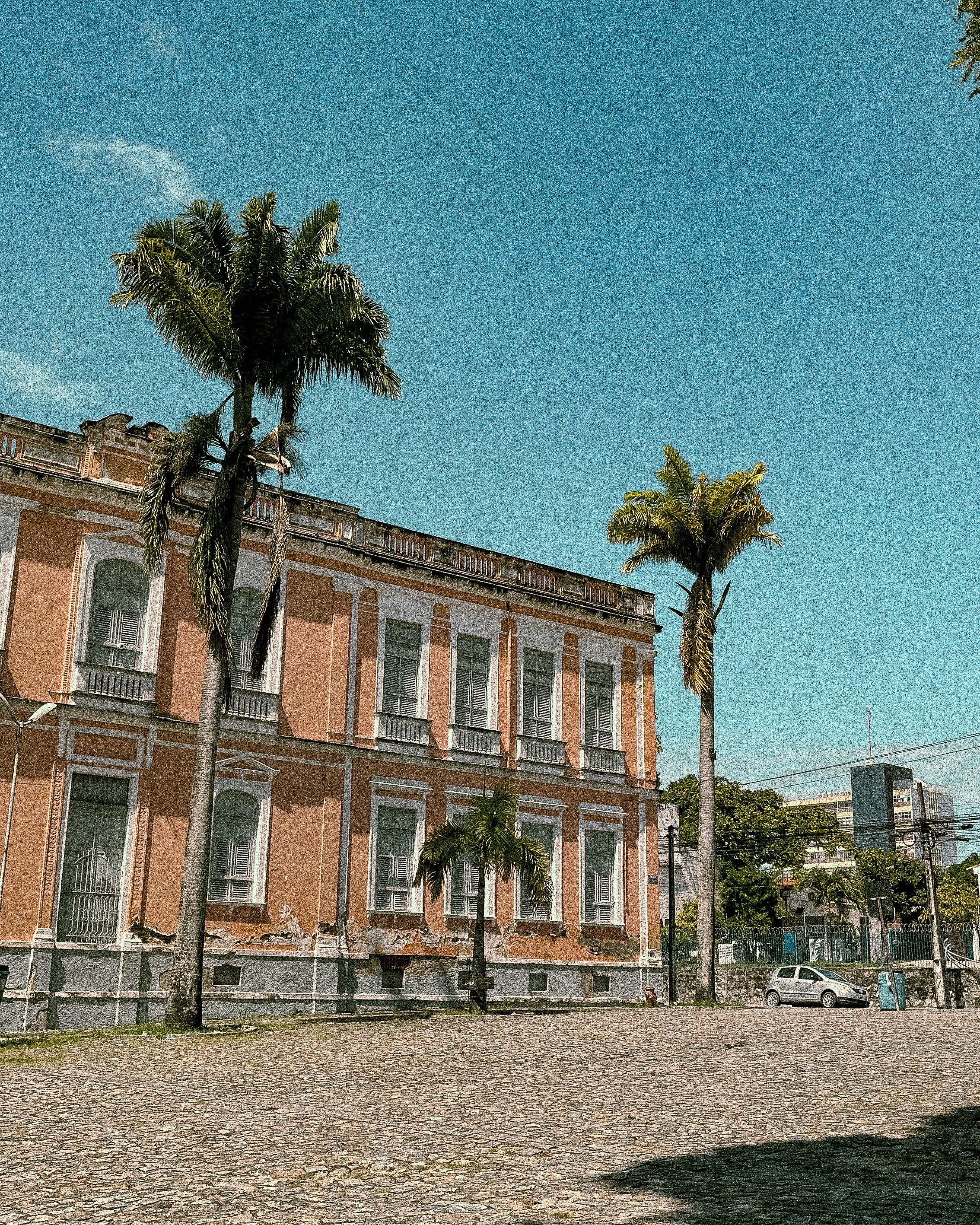 Un hermoso edificio está al lado de palmeras.