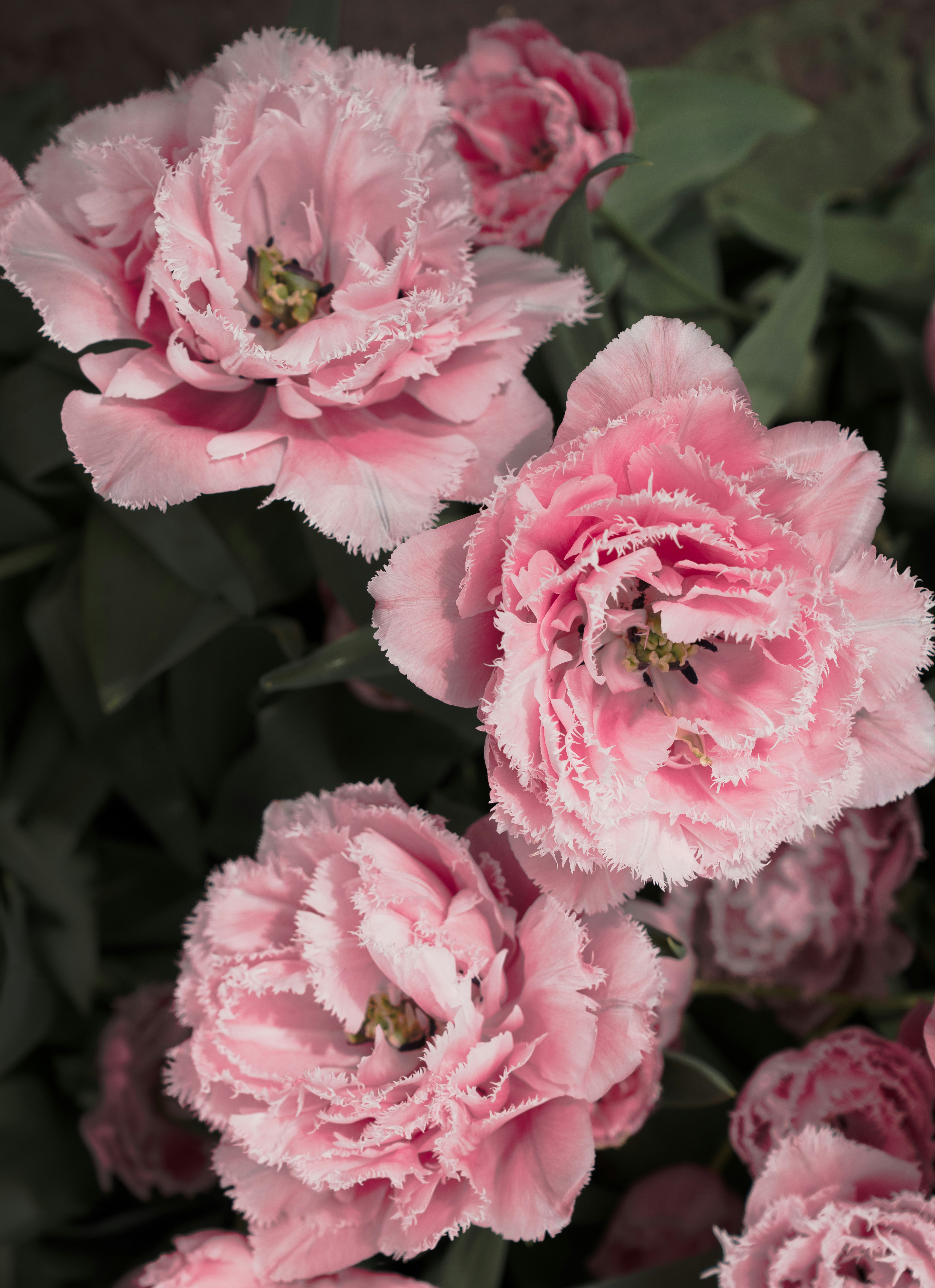 Photo by elisabeth_rausch