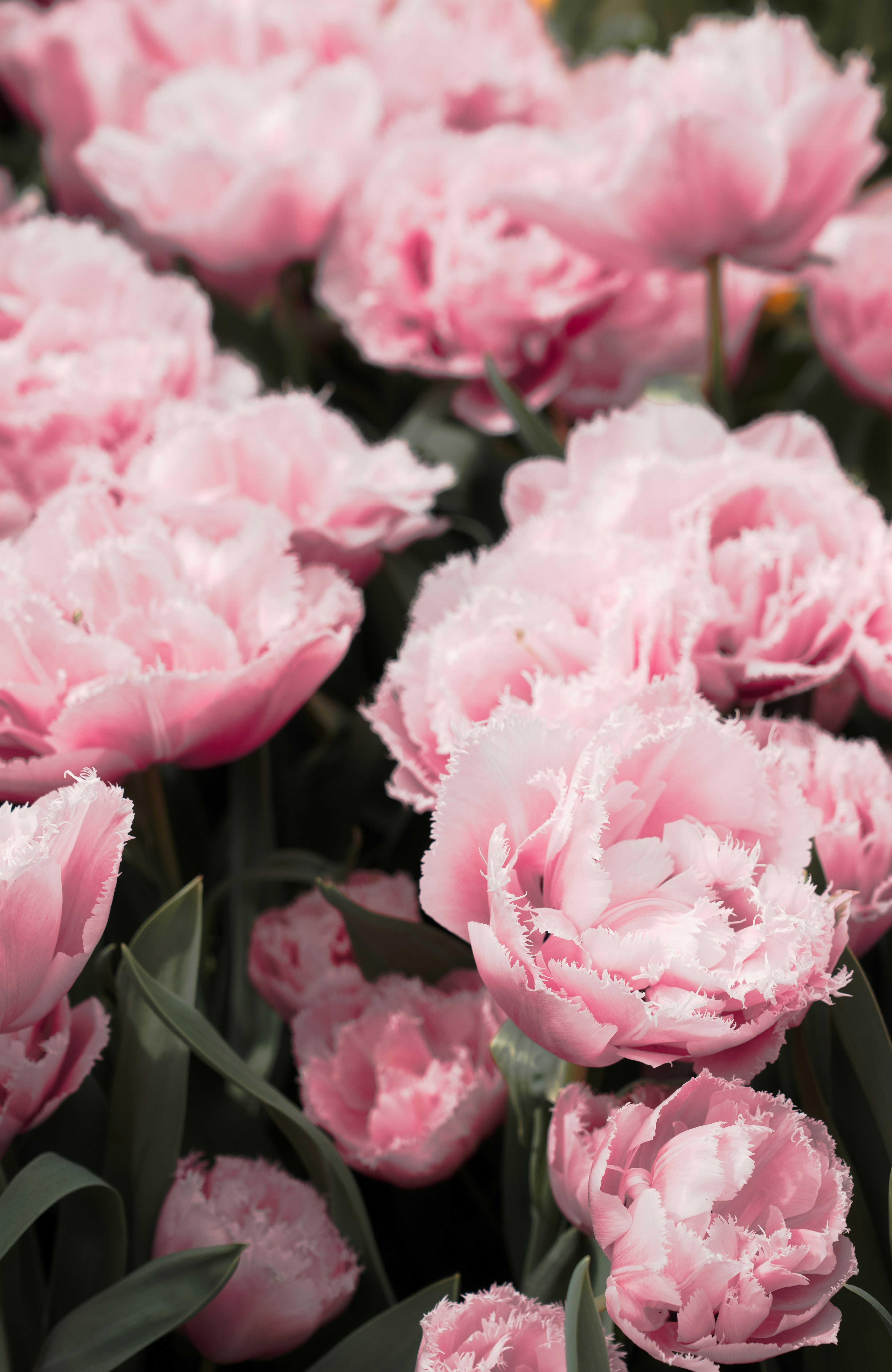 Photo by elisabeth_rausch