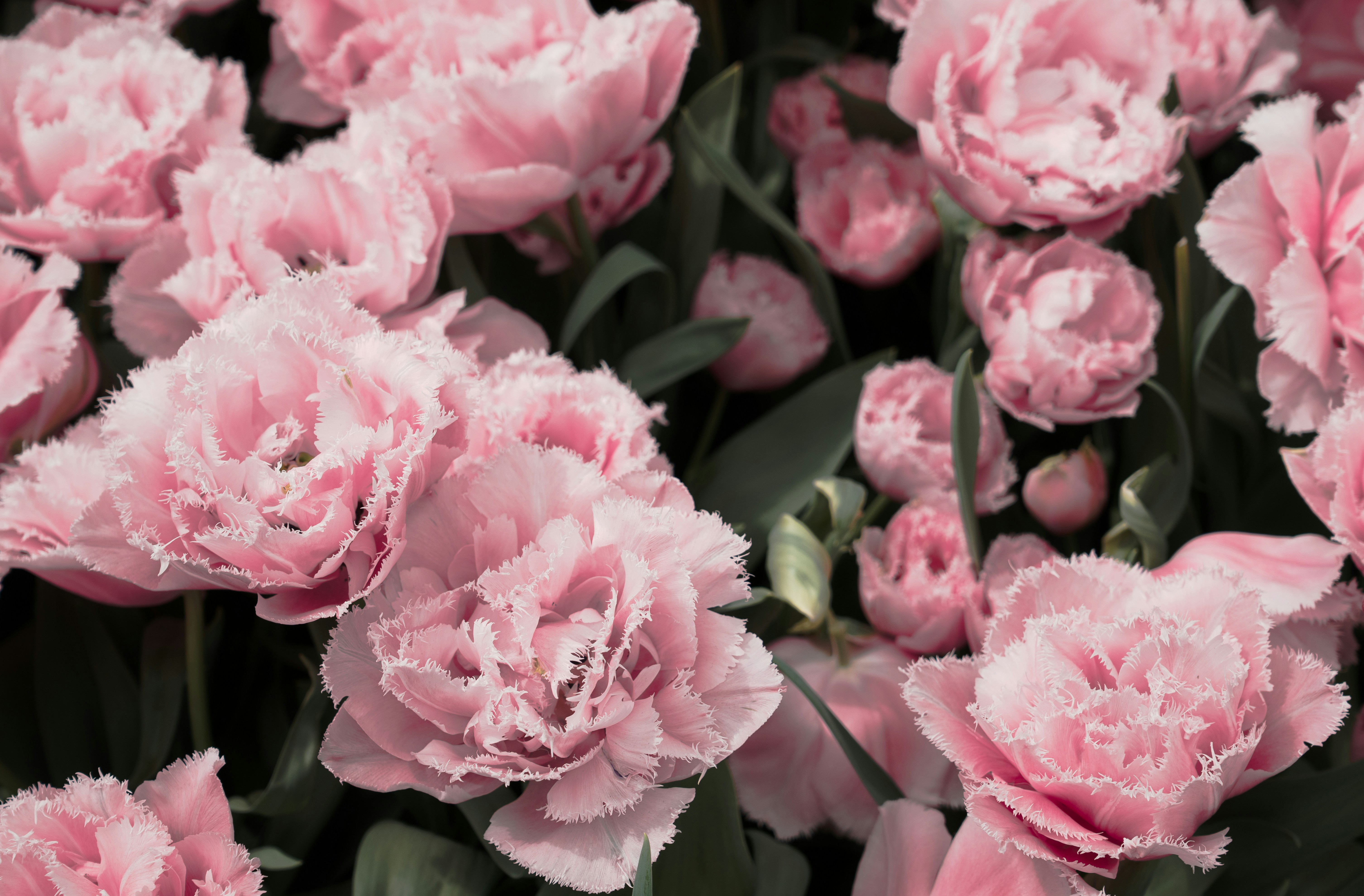 Photo by elisabeth_rausch