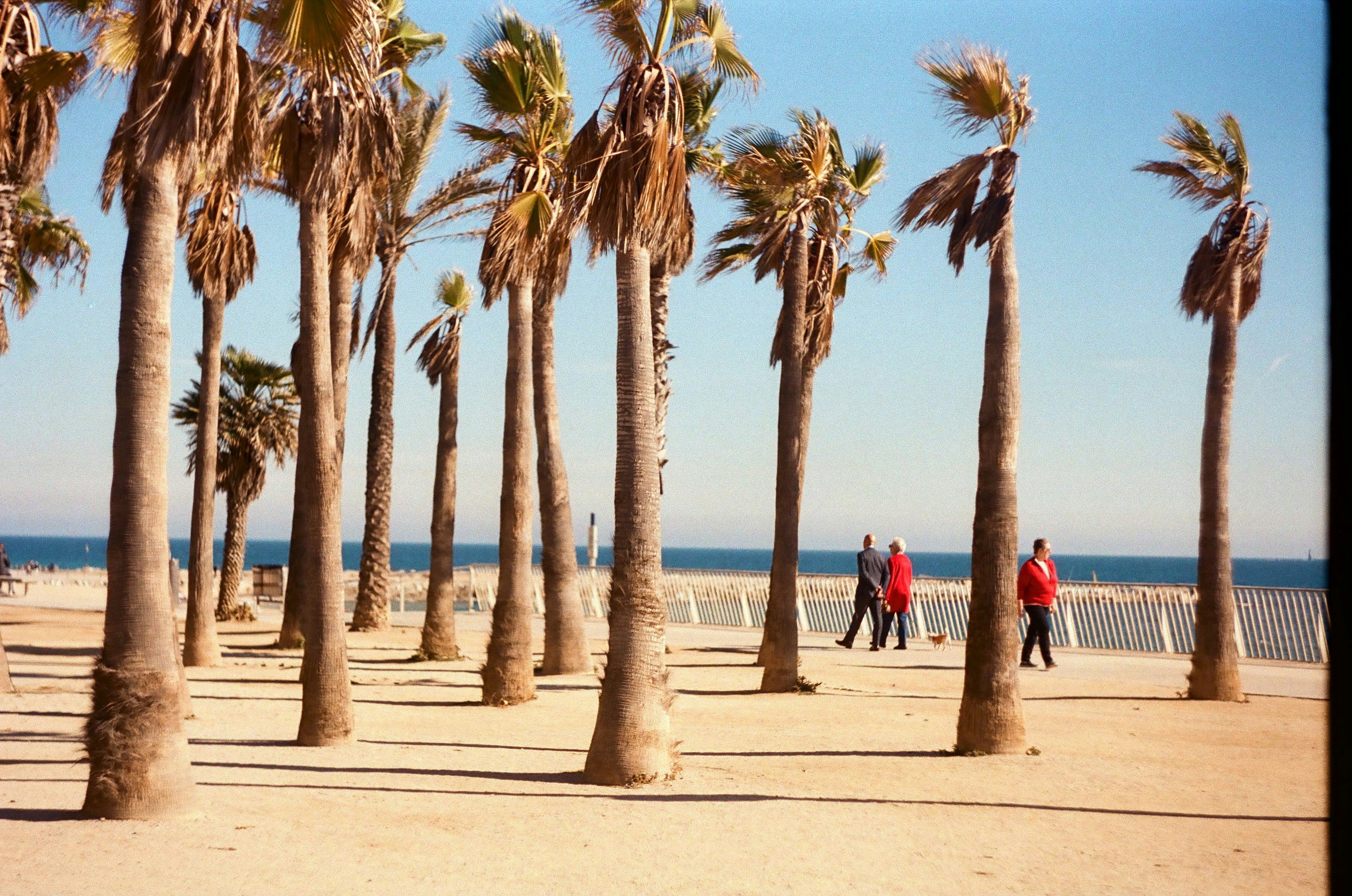 Photo by tsimur_asayonak