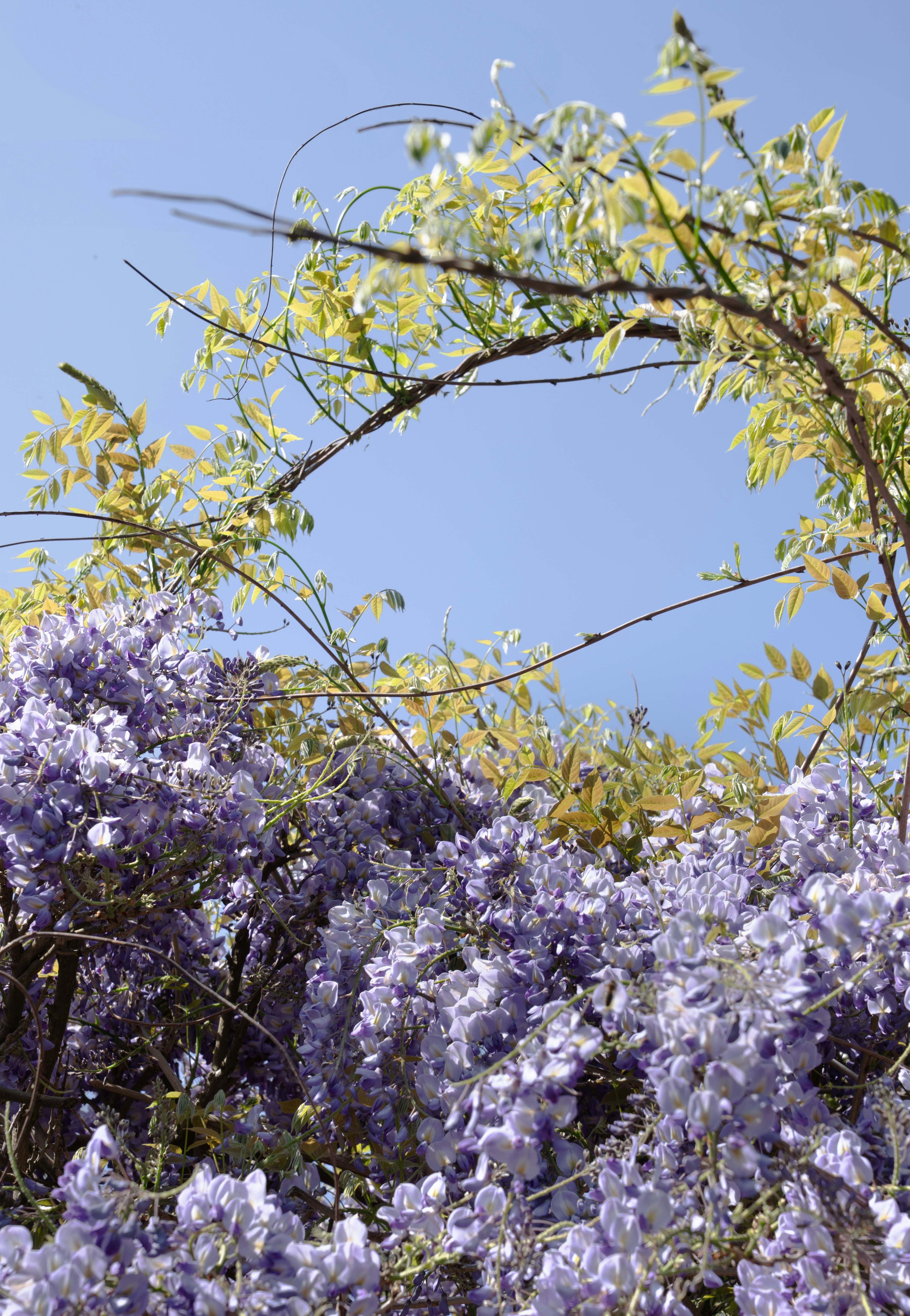 Photo by elisabeth_rausch