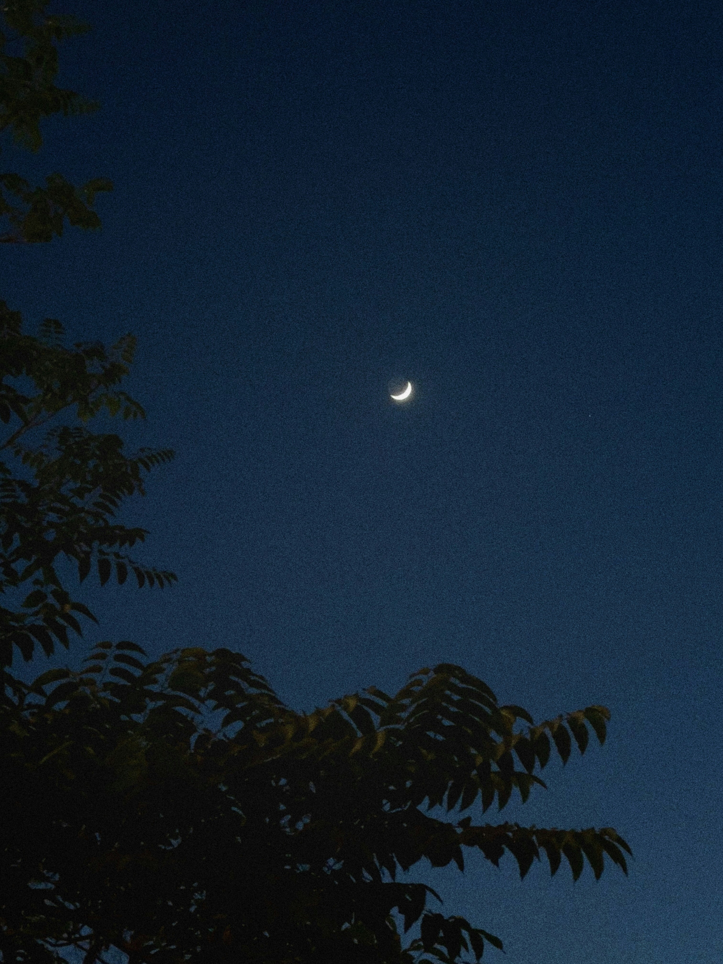 Photo by farid_karimi