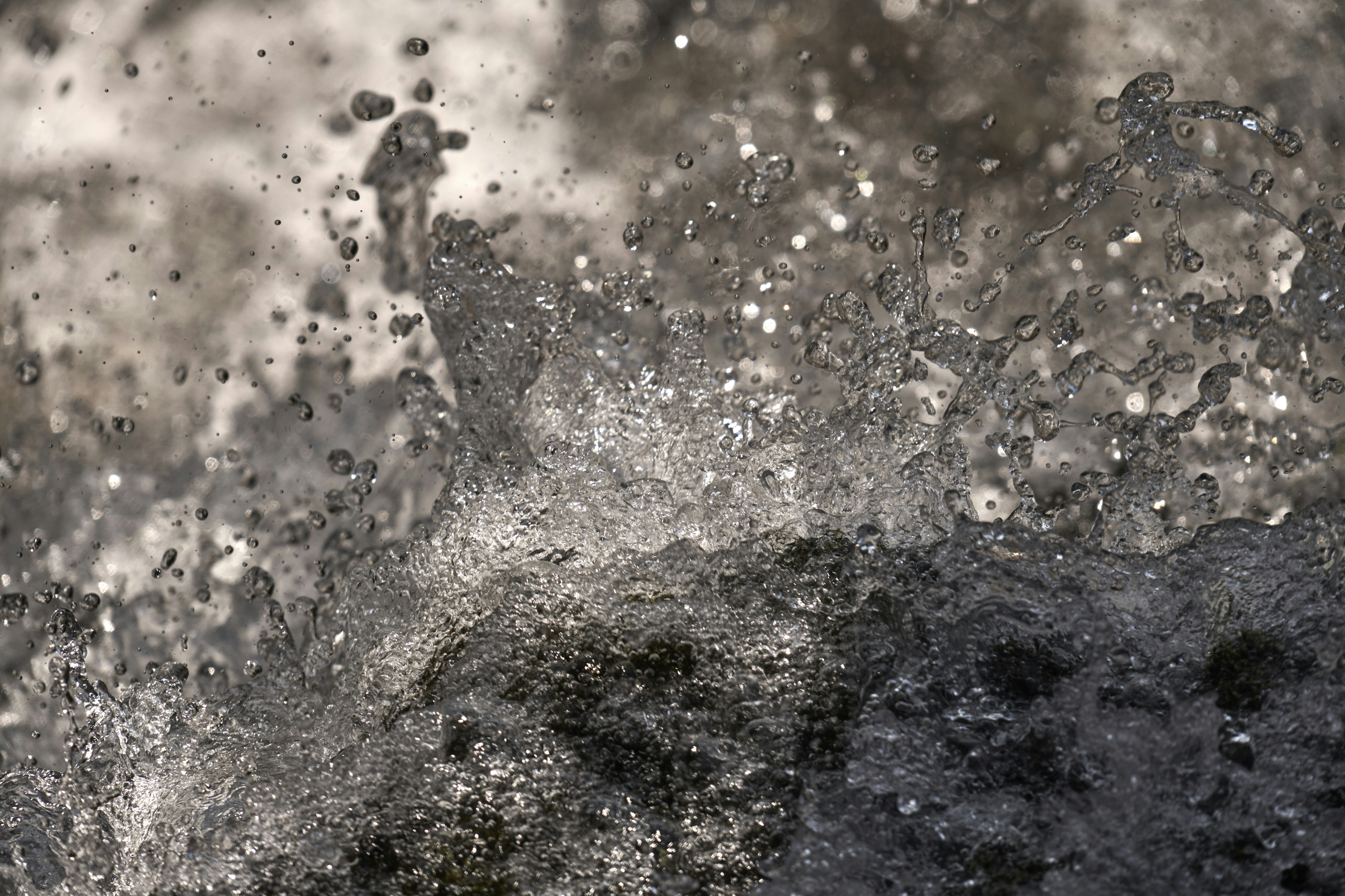 Photo by wolfgang_hasselmann