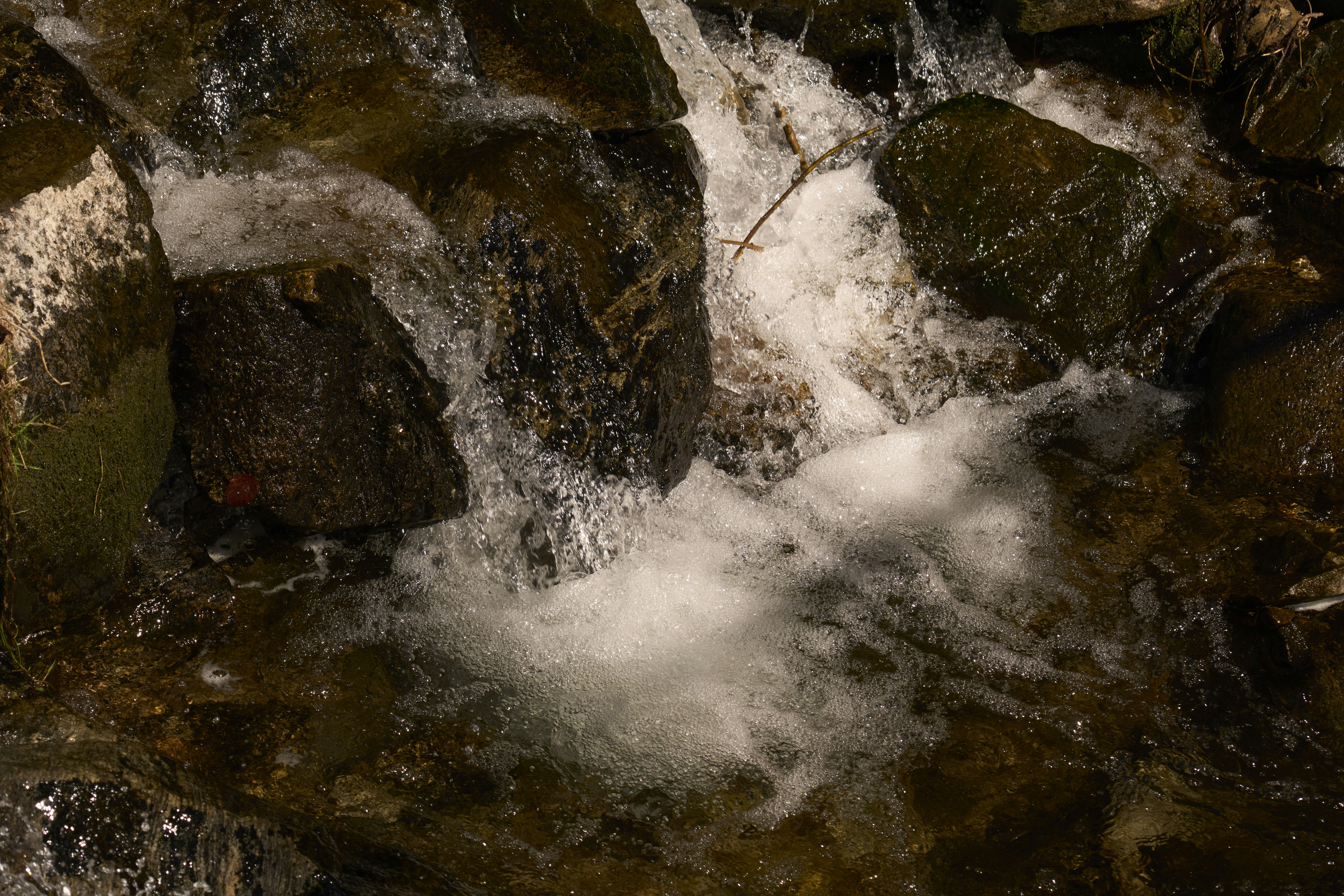 Photo by wolfgang_hasselmann