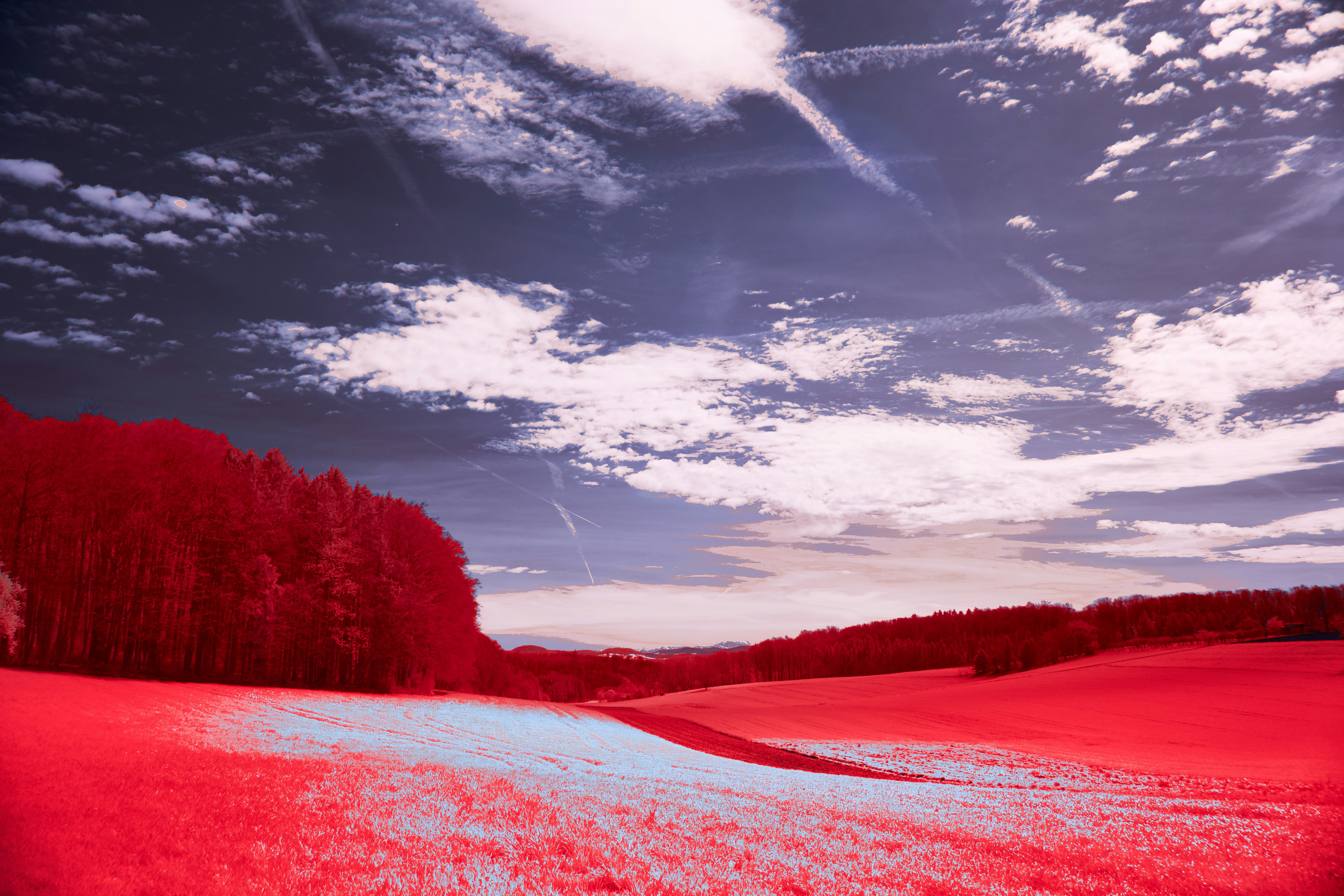 Photo by wolfgang_hasselmann