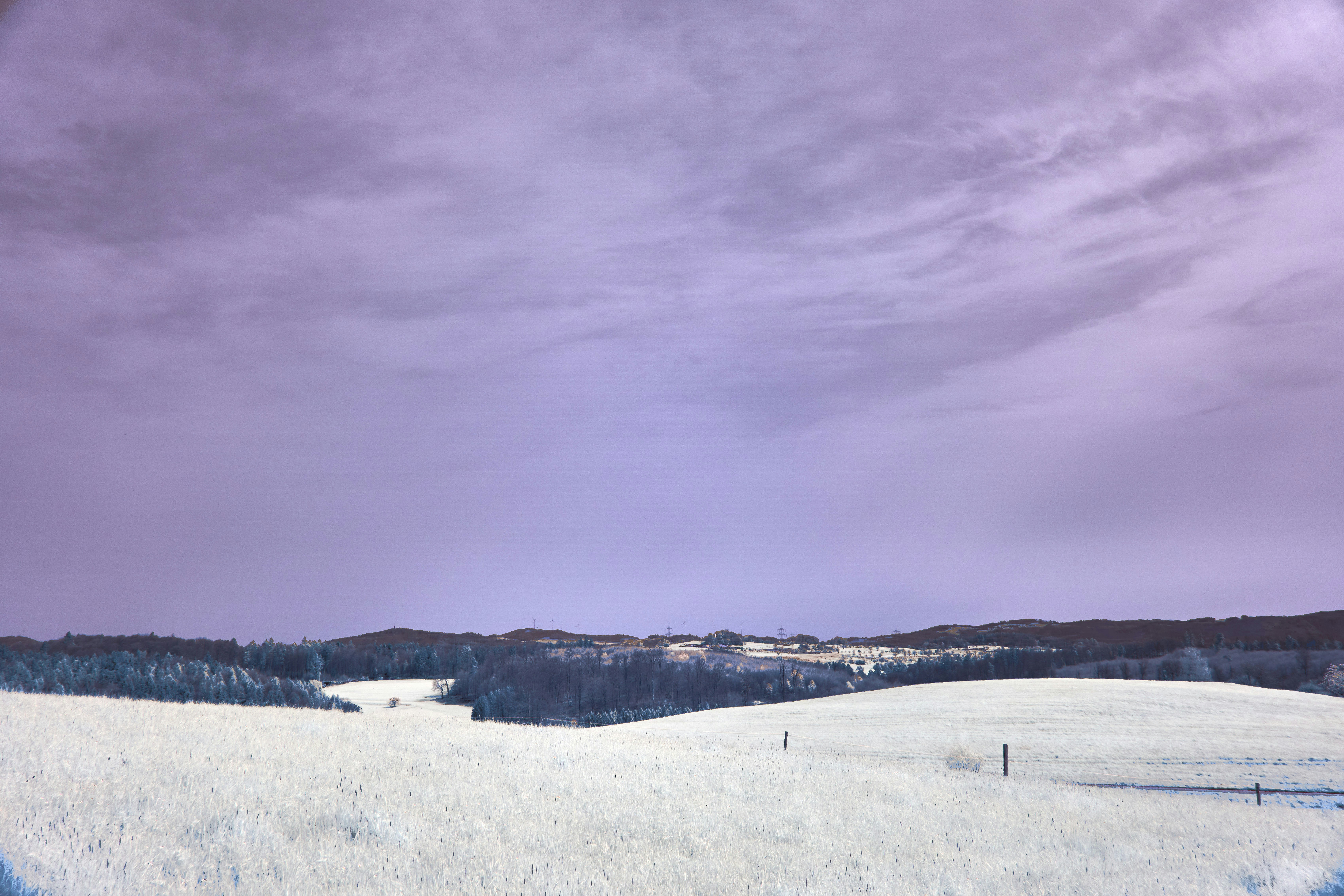 Photo by wolfgang_hasselmann