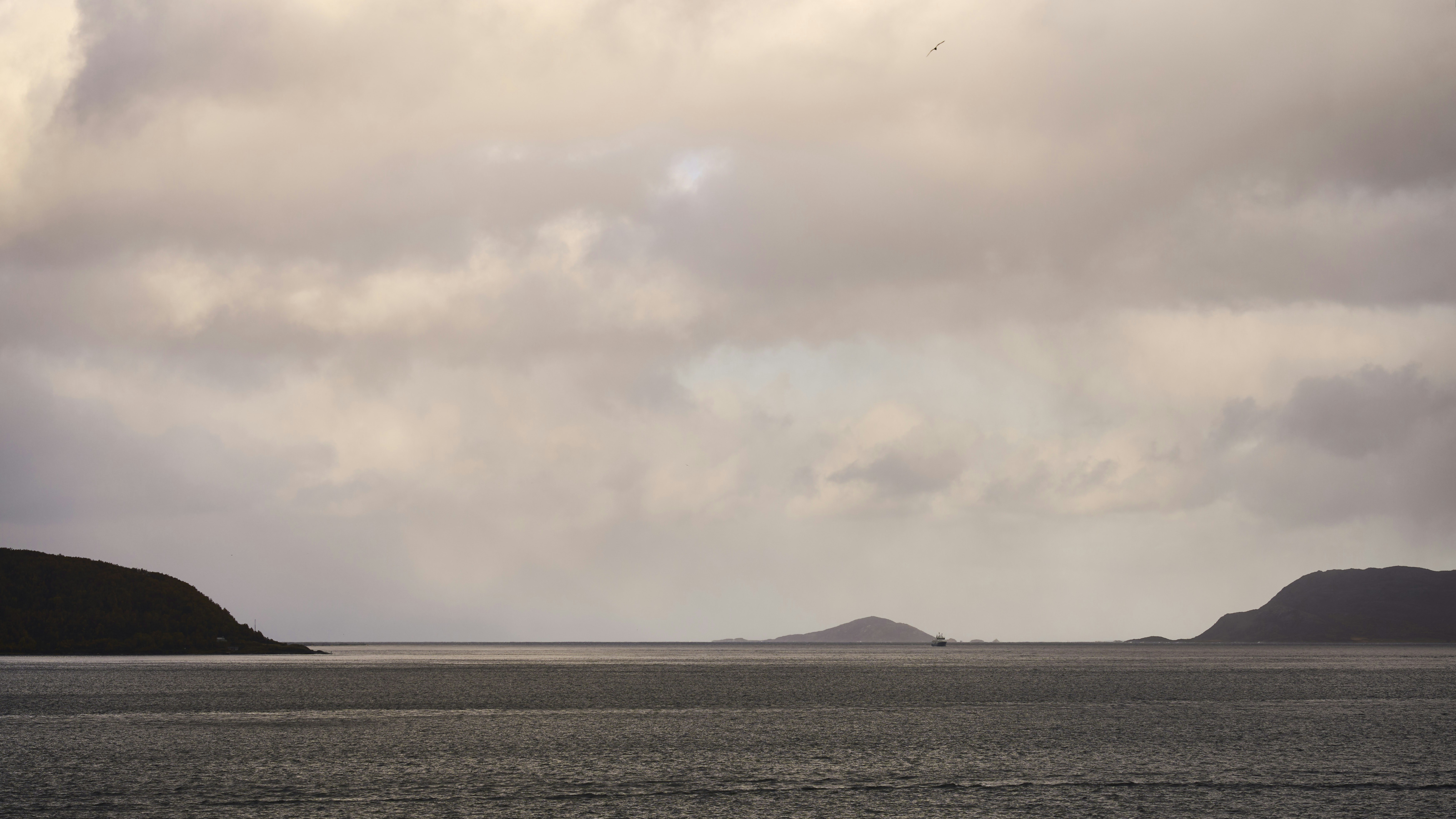 Photo by wolfgang_hasselmann