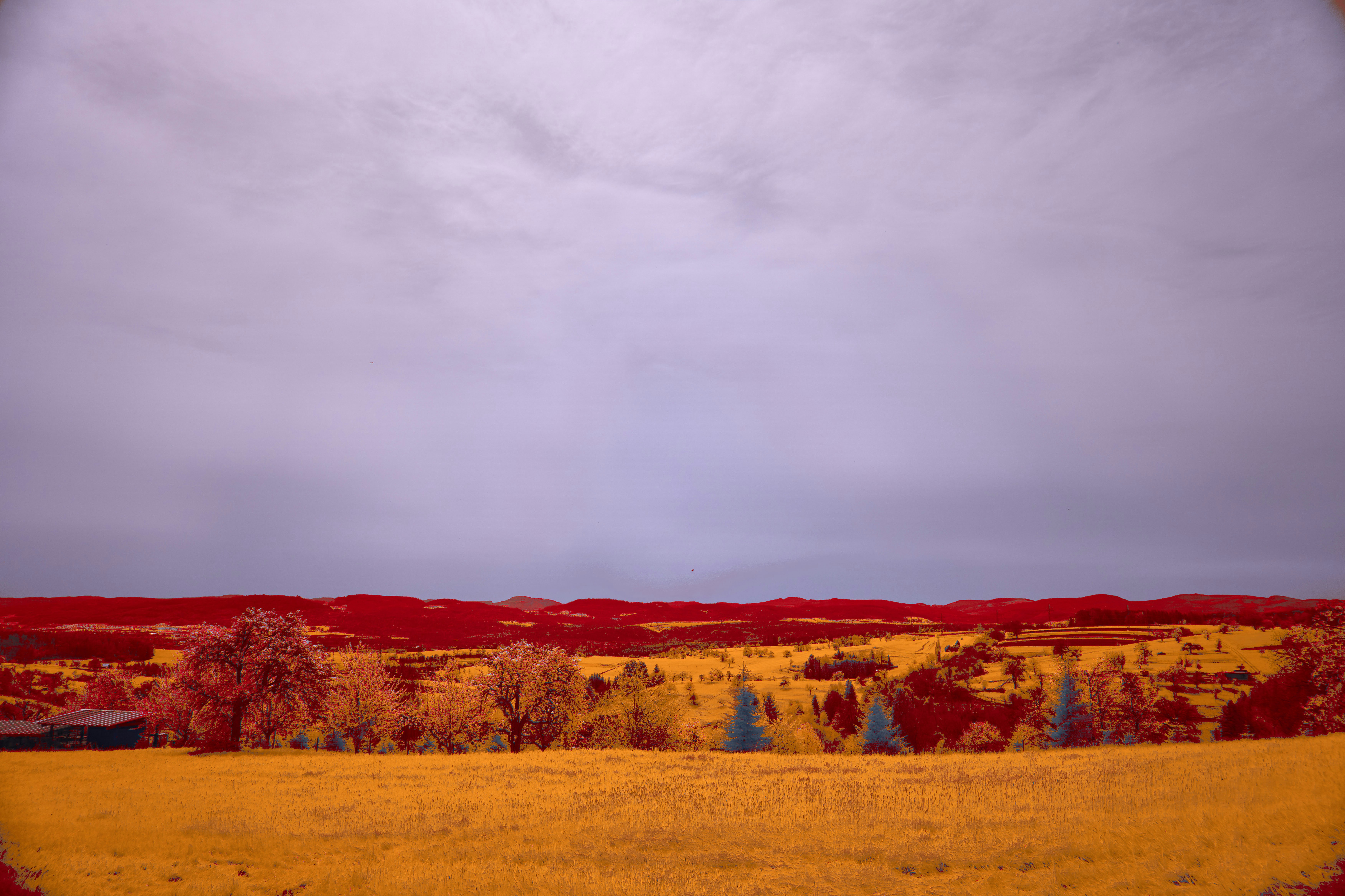 Photo by wolfgang_hasselmann