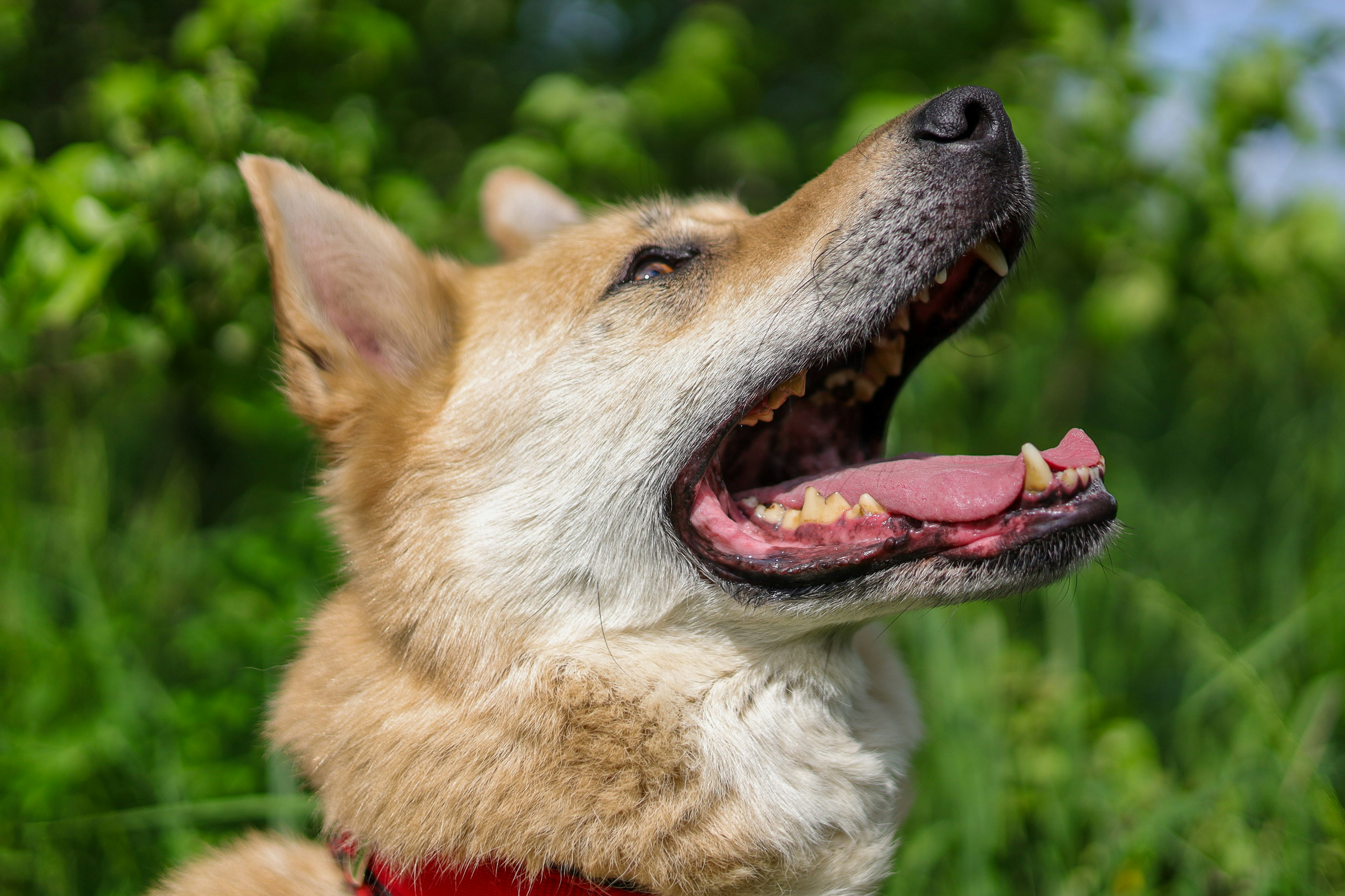 Photo by trofimova_photographer