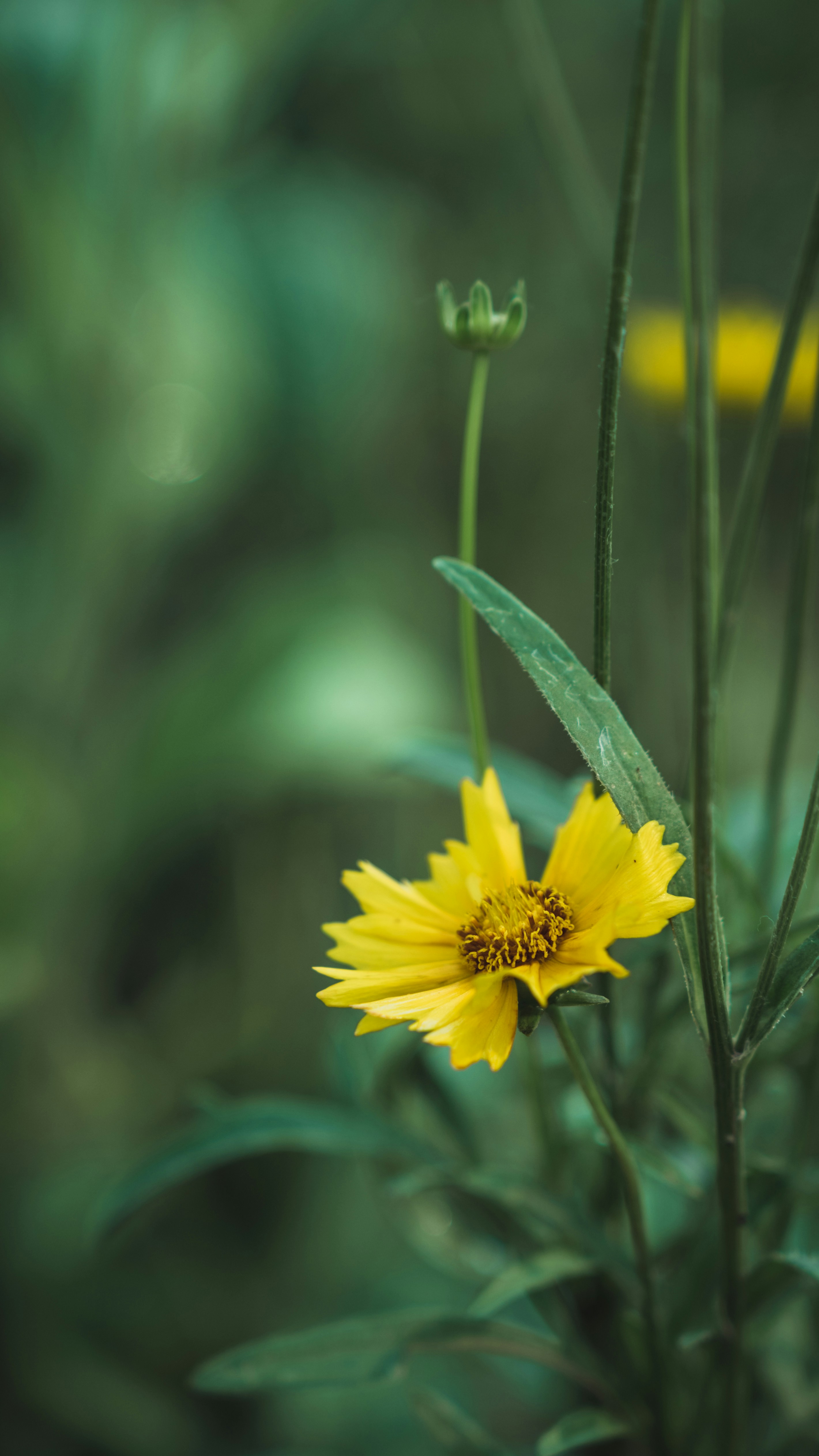 Photo by peek_a_boo_who