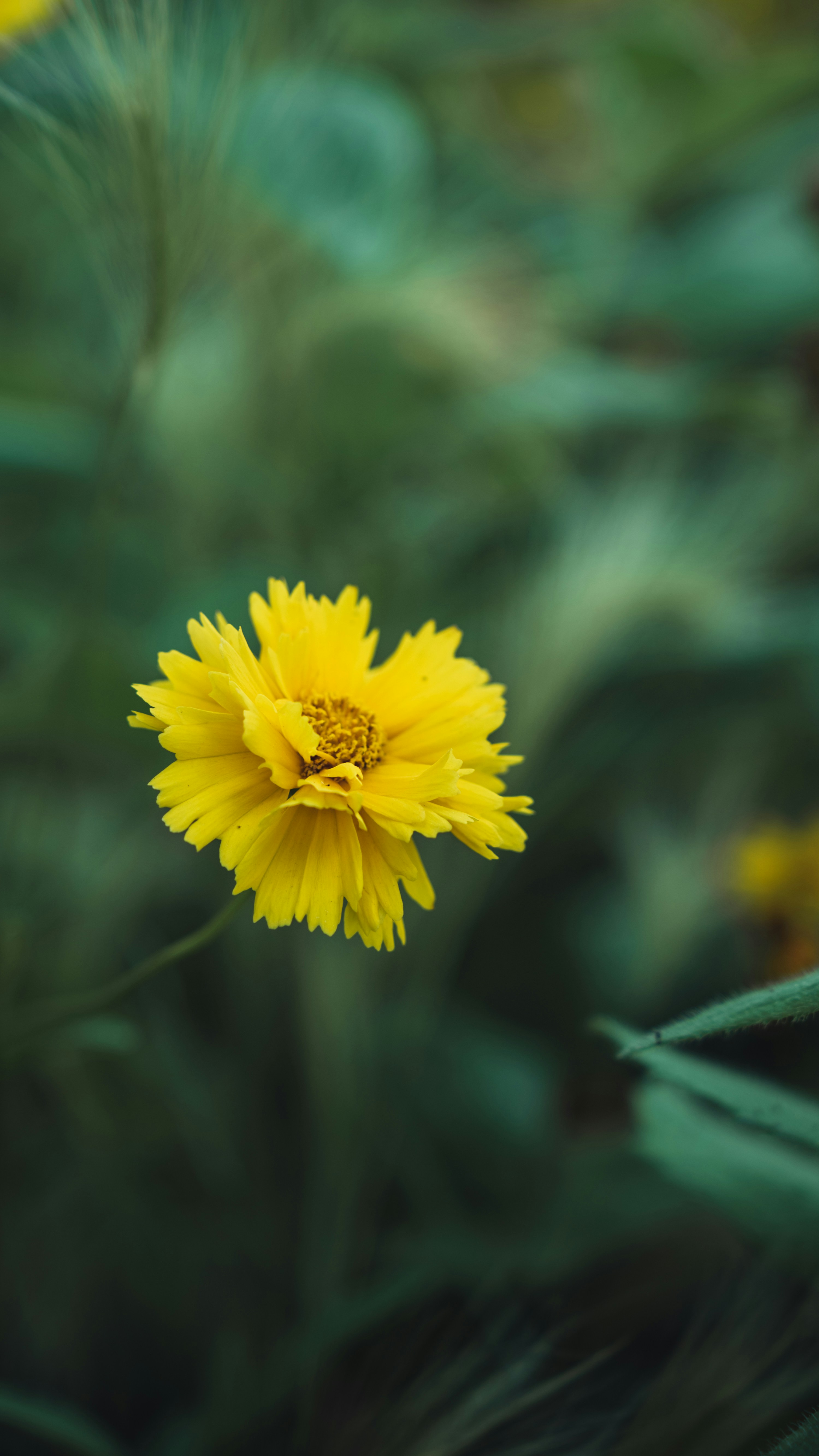 Photo by peek_a_boo_who