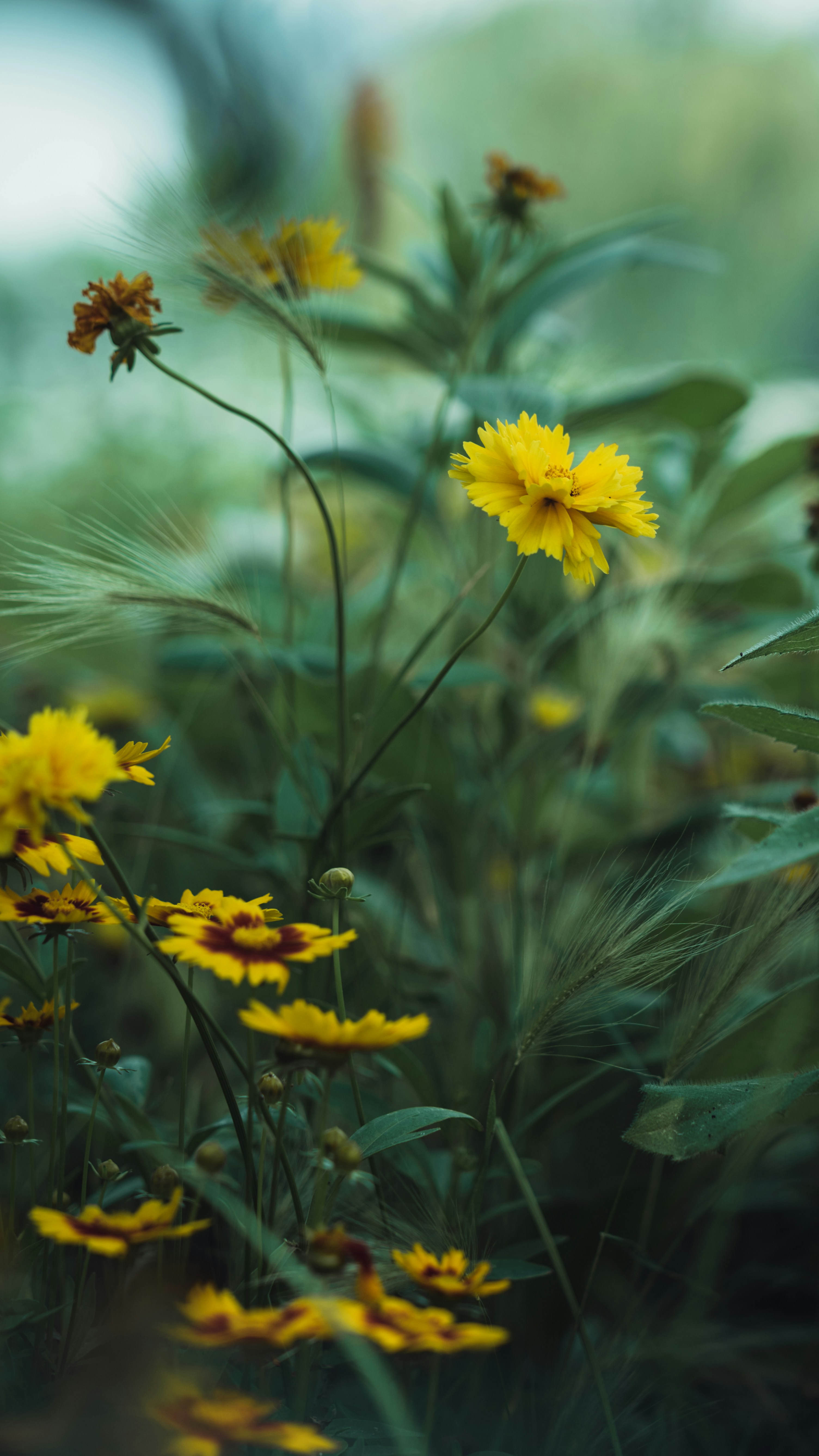 Photo by peek_a_boo_who