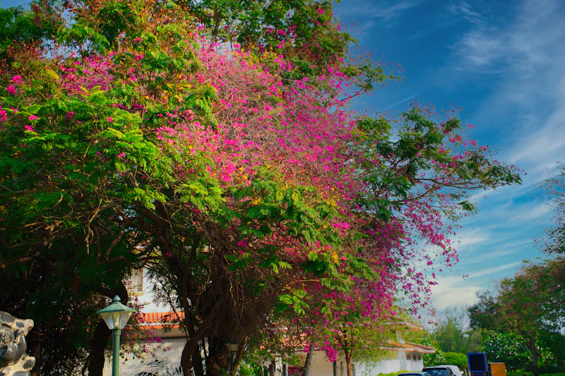 Best Neighborhoods to Stay in Mahabalipuram: Where to Book and What to Expect