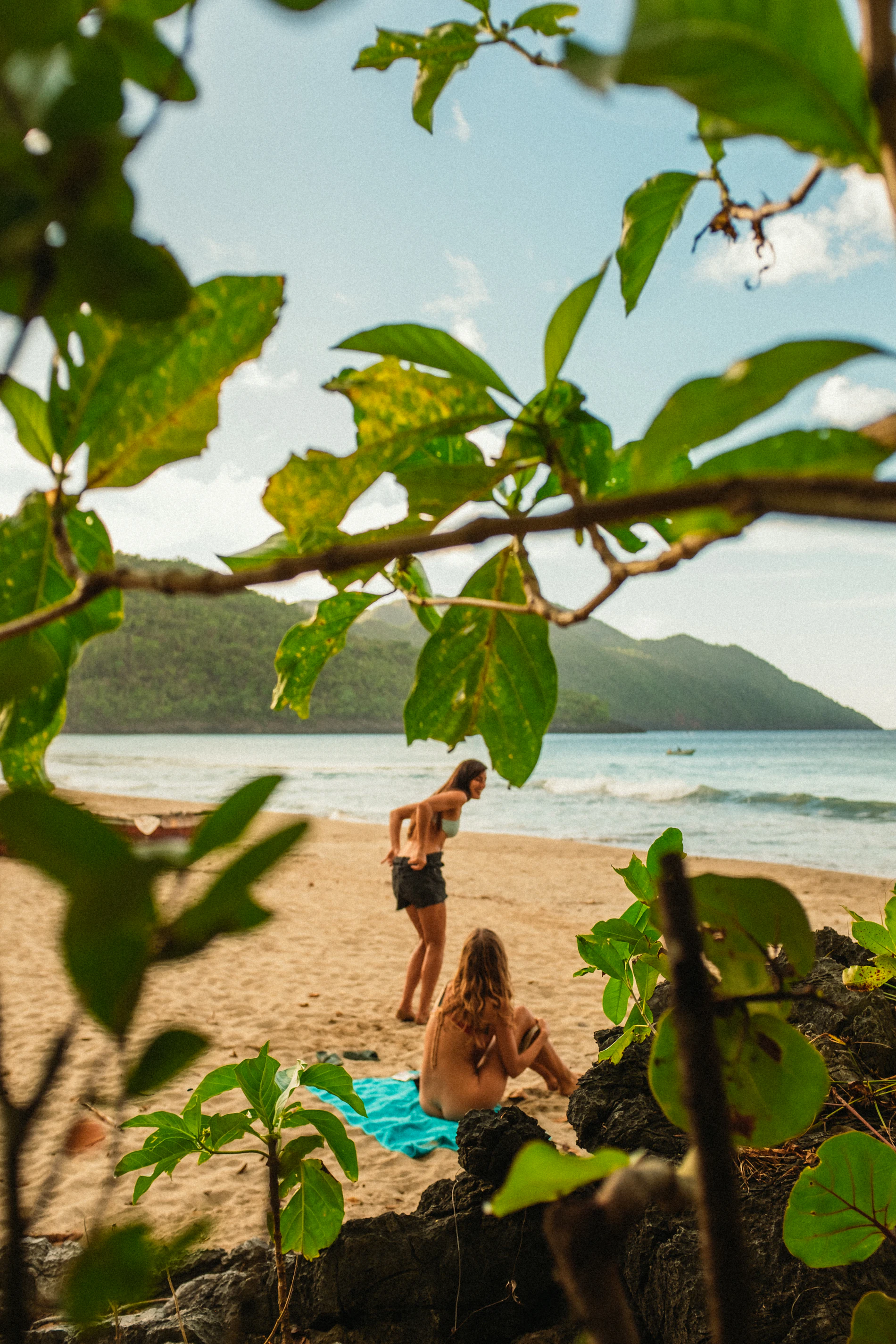 Beach framed by green hills and tropical leaves