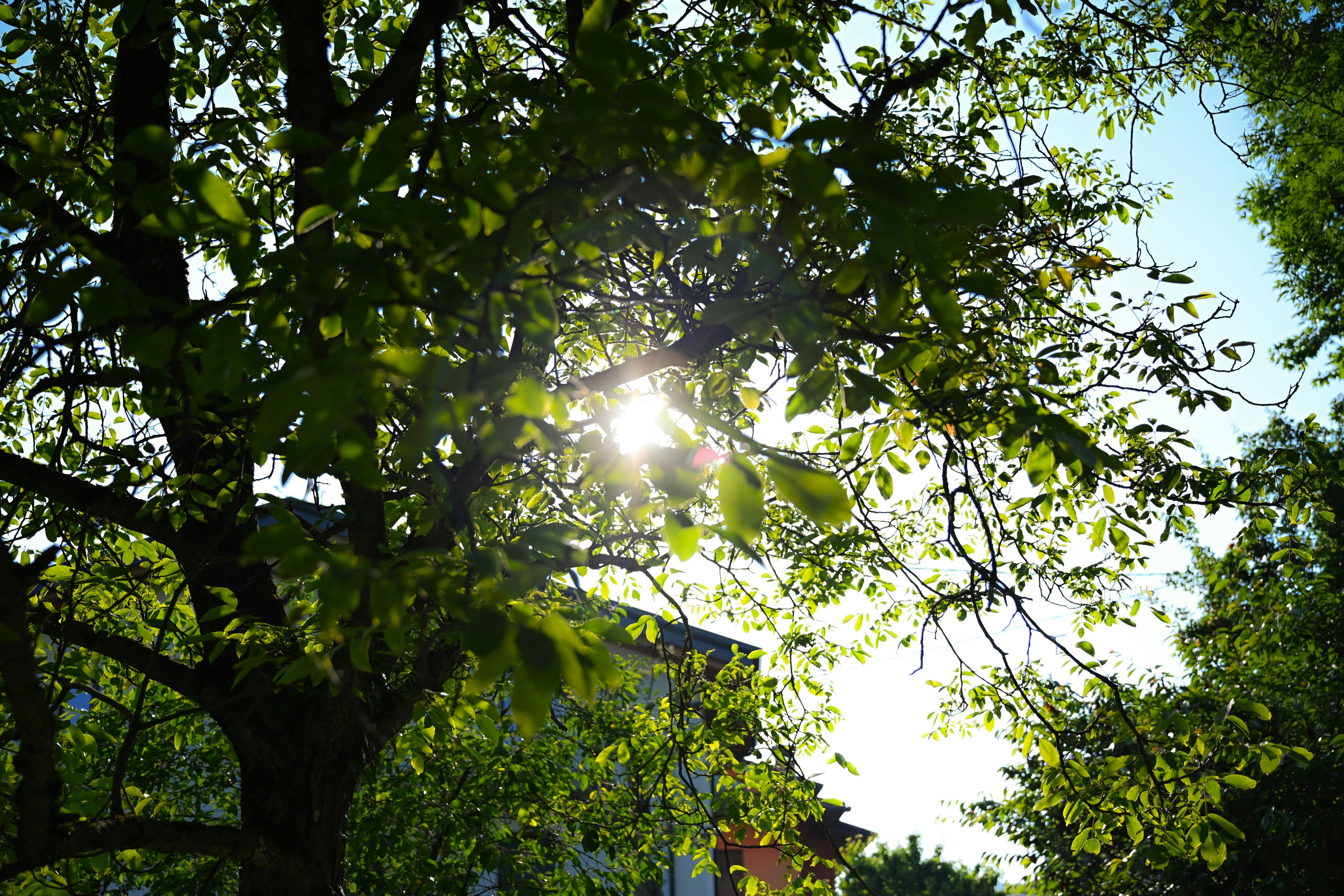 Photo by albertobigoni