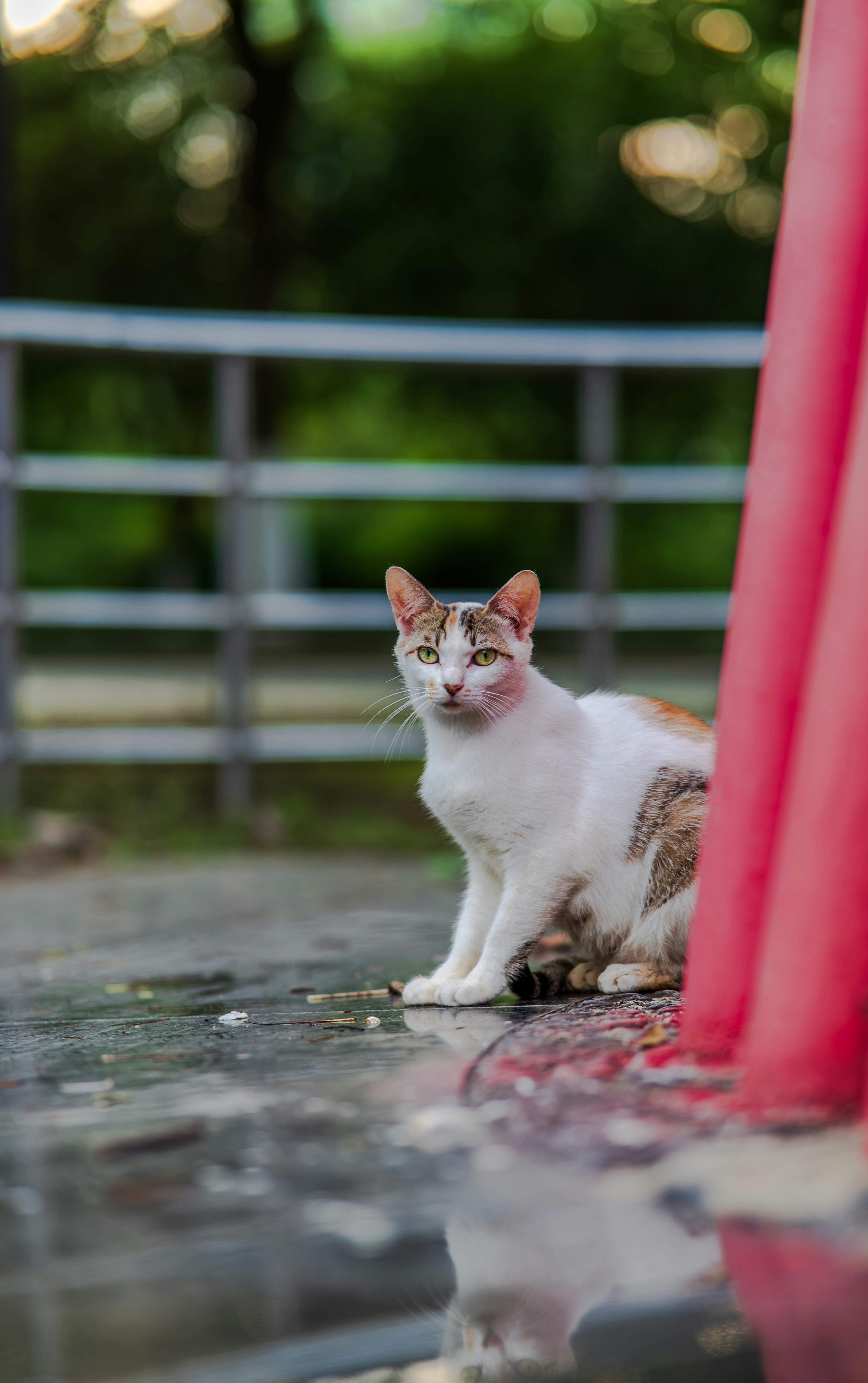 Photo by excellentcx