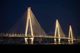Illuminated cable-stayed bridge at night.