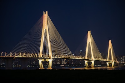Illuminated cable-stayed bridge at night.