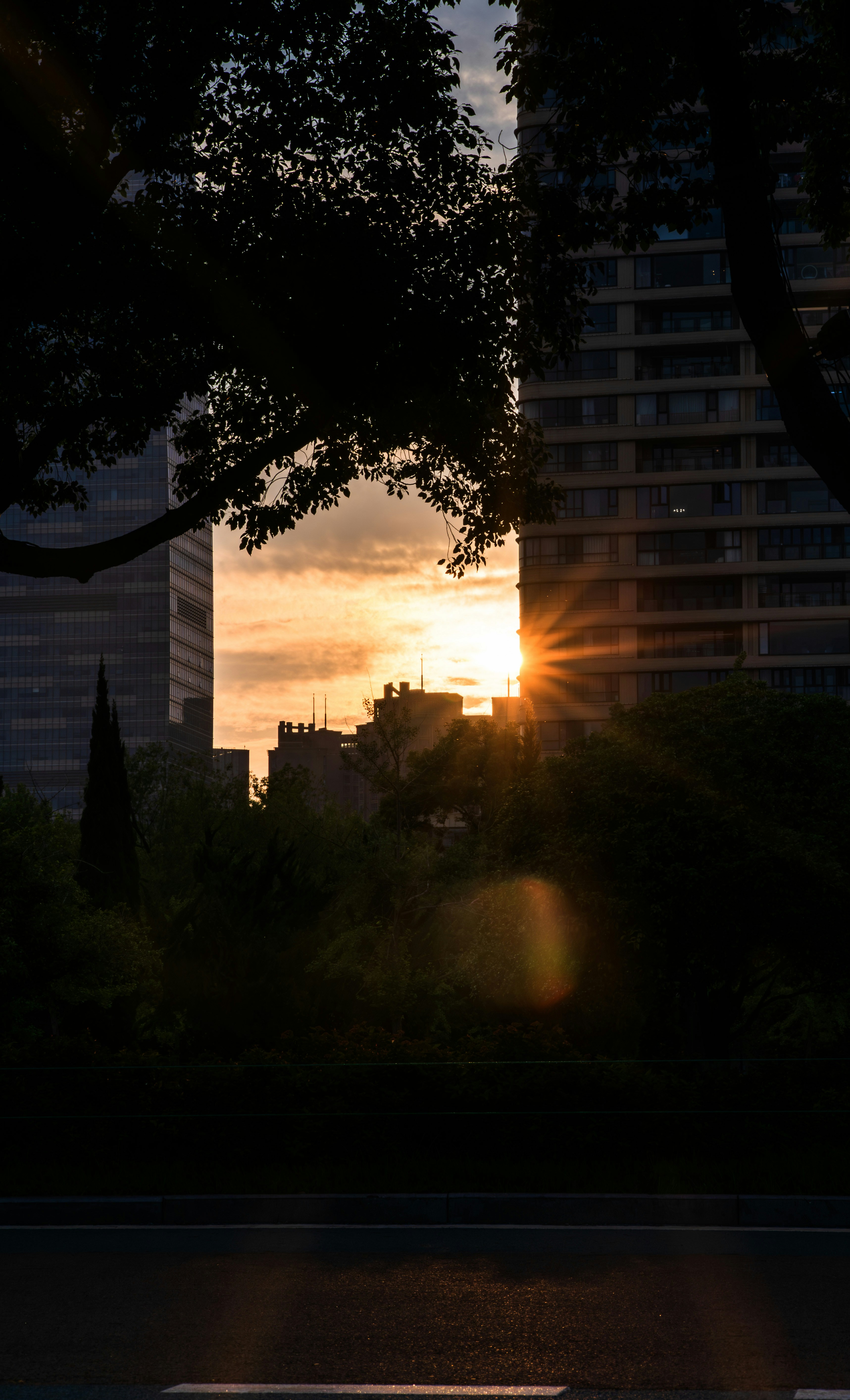 Photo by excellentcx