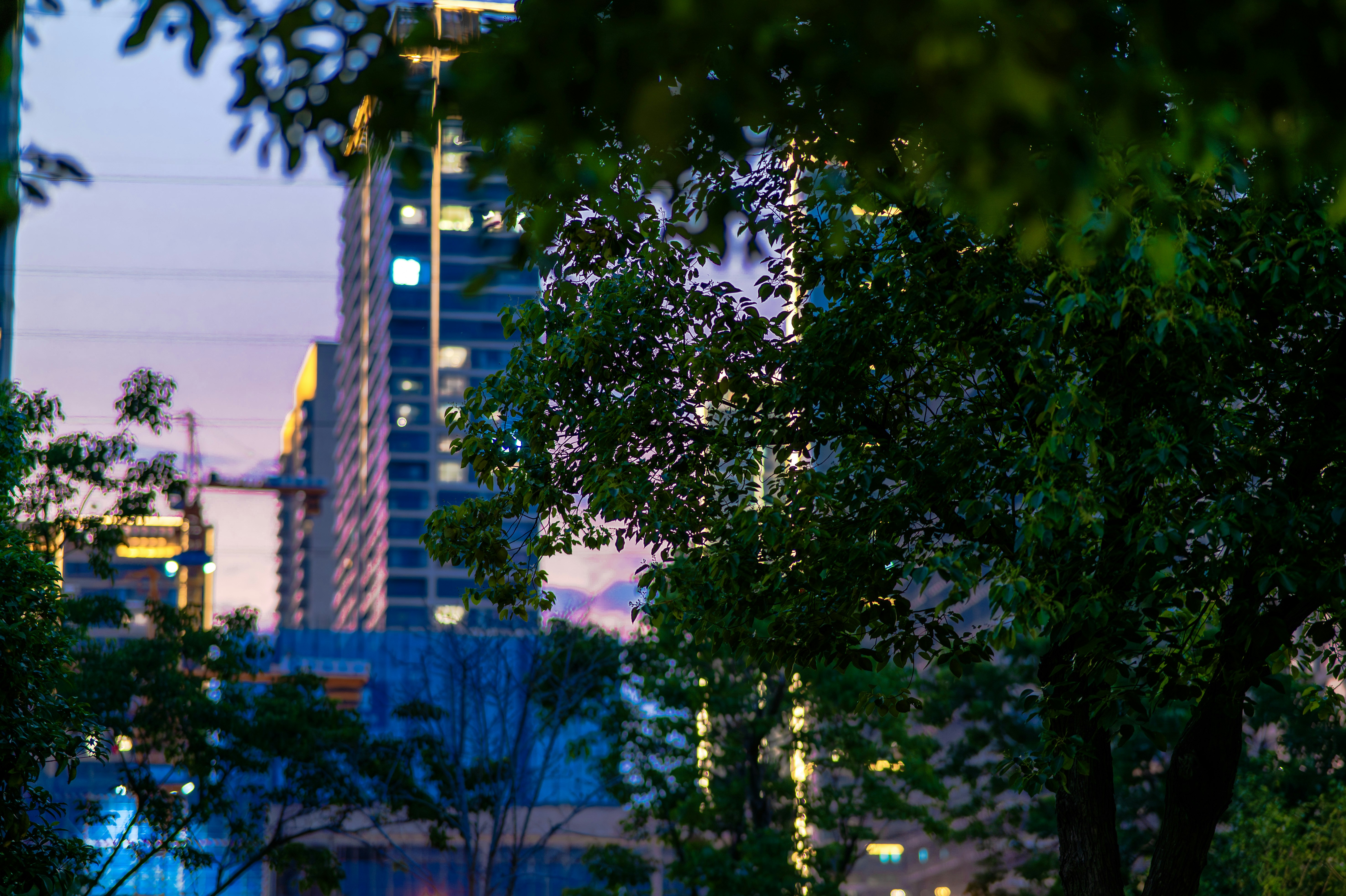 Photo by excellentcx